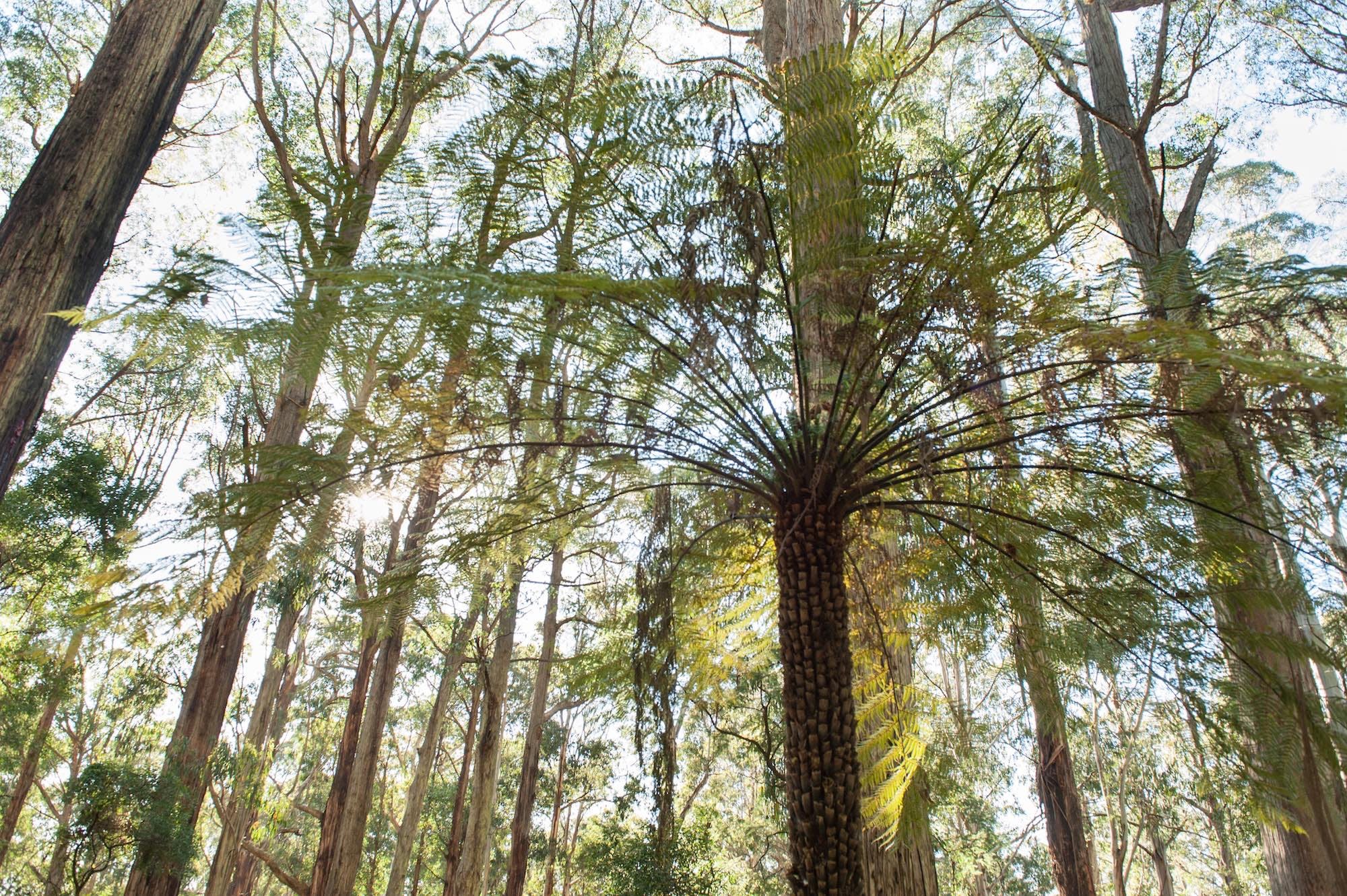 174284C1F1A5Ef5Caf0A31D28A727B59