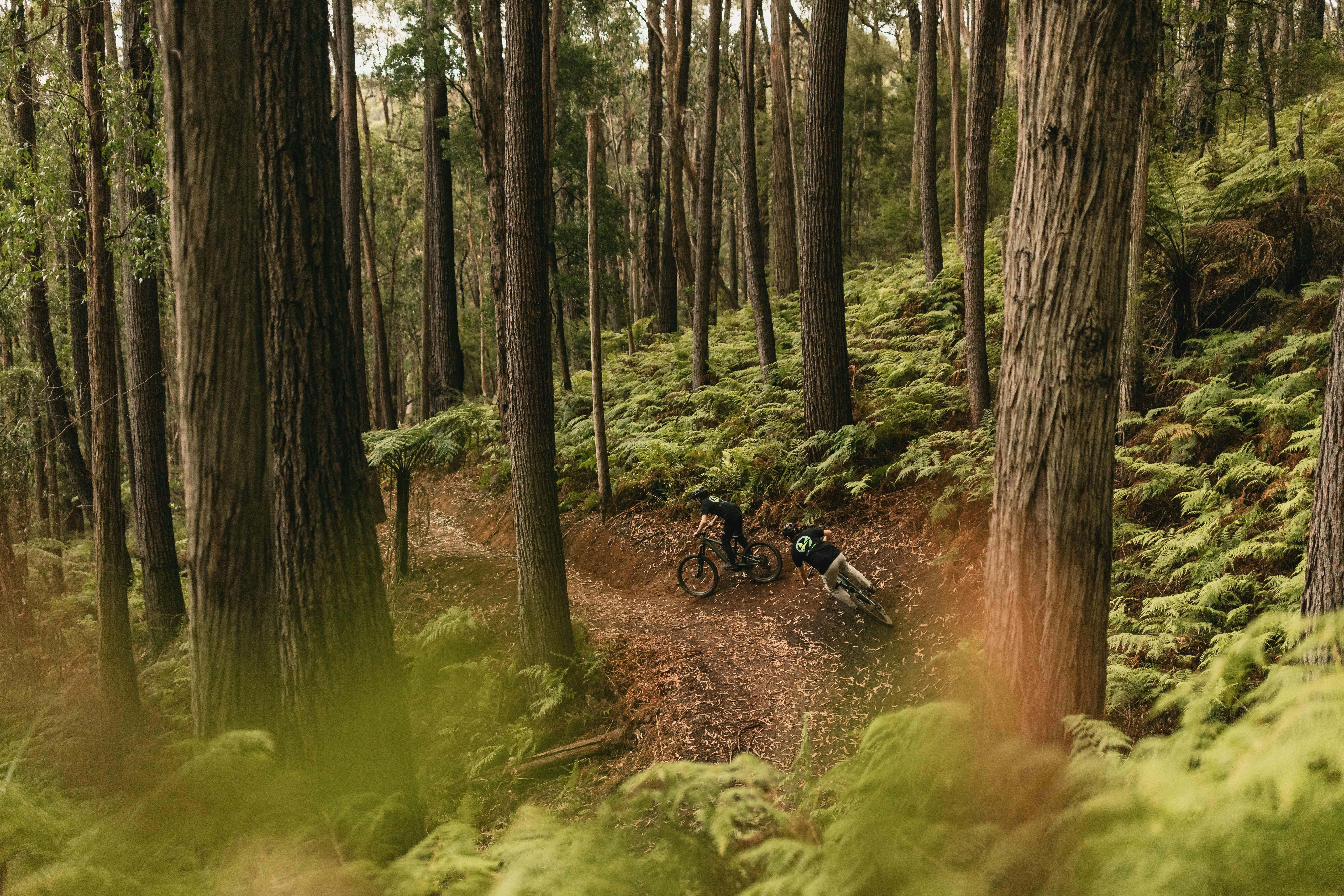 178Fe17E90Cd43001C8398Cbfc67Ab6F