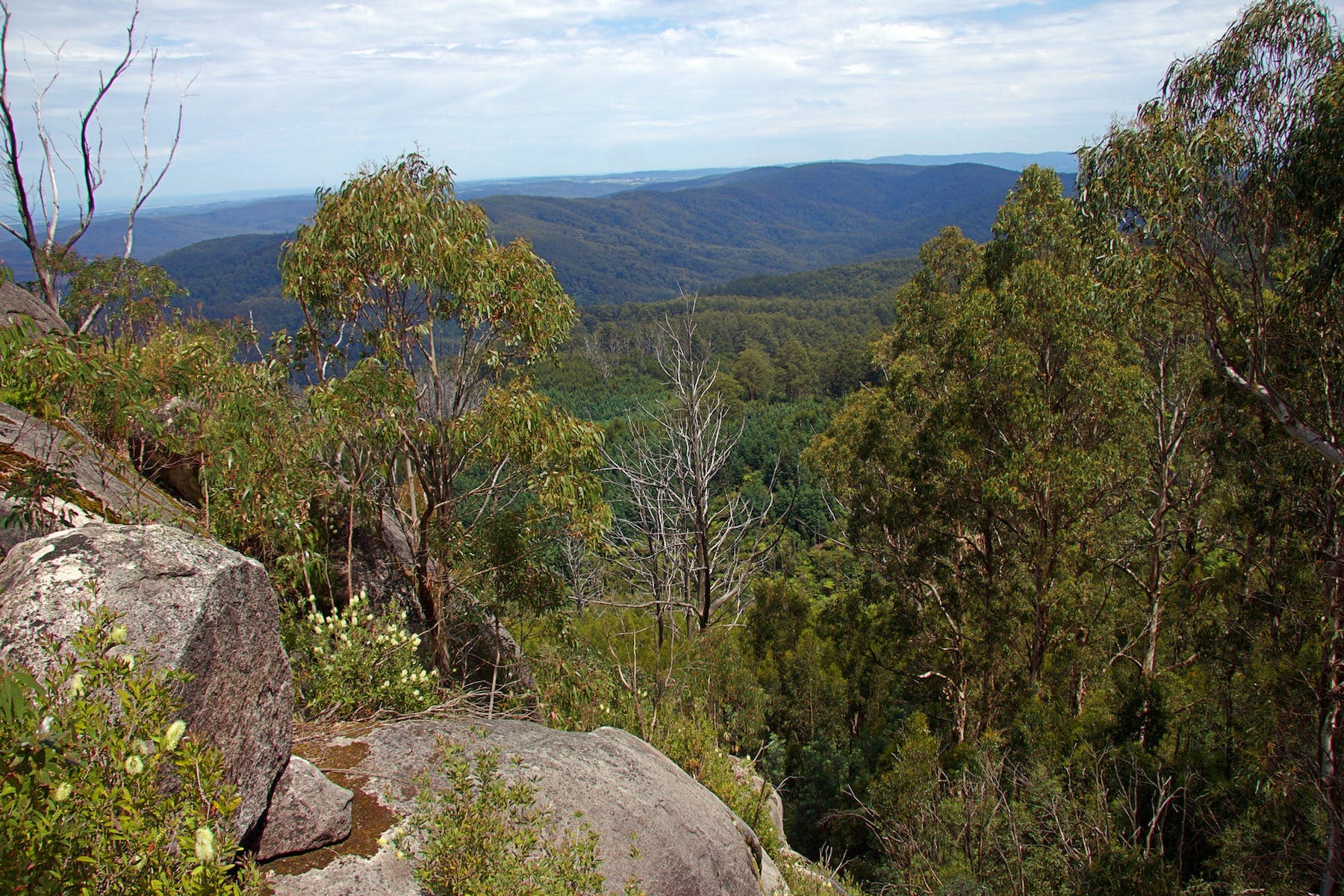 1968De2Eca5Cd2560B12C62115D6Bde0