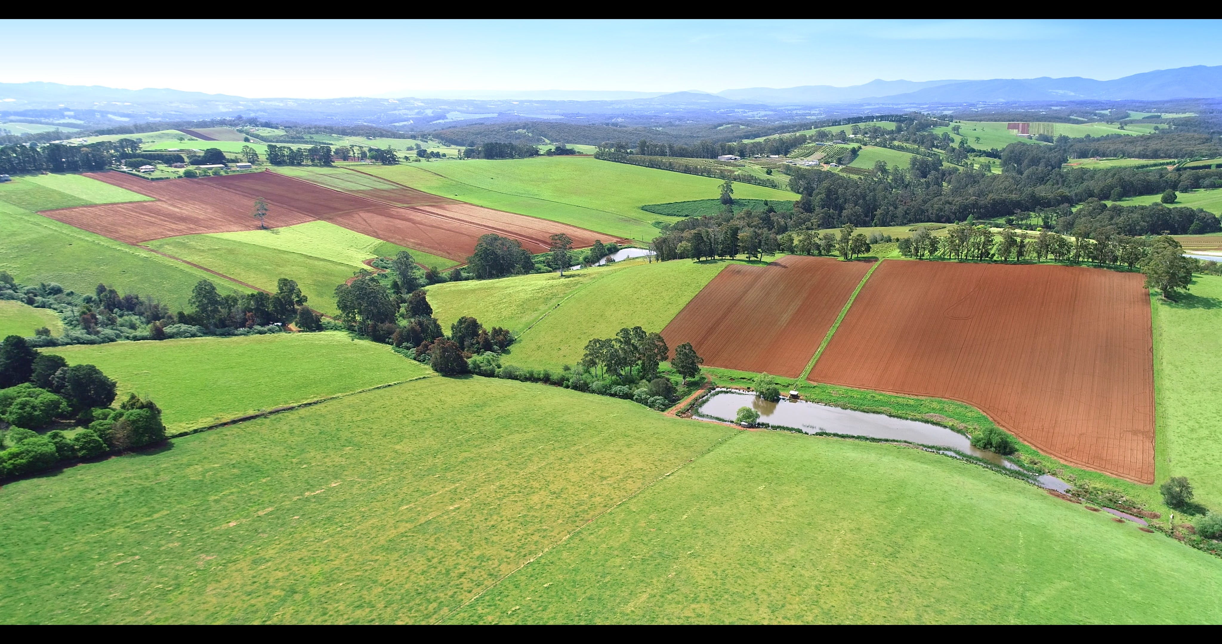 1A9E2E3782Bf03464A499De8Cc4D5F21