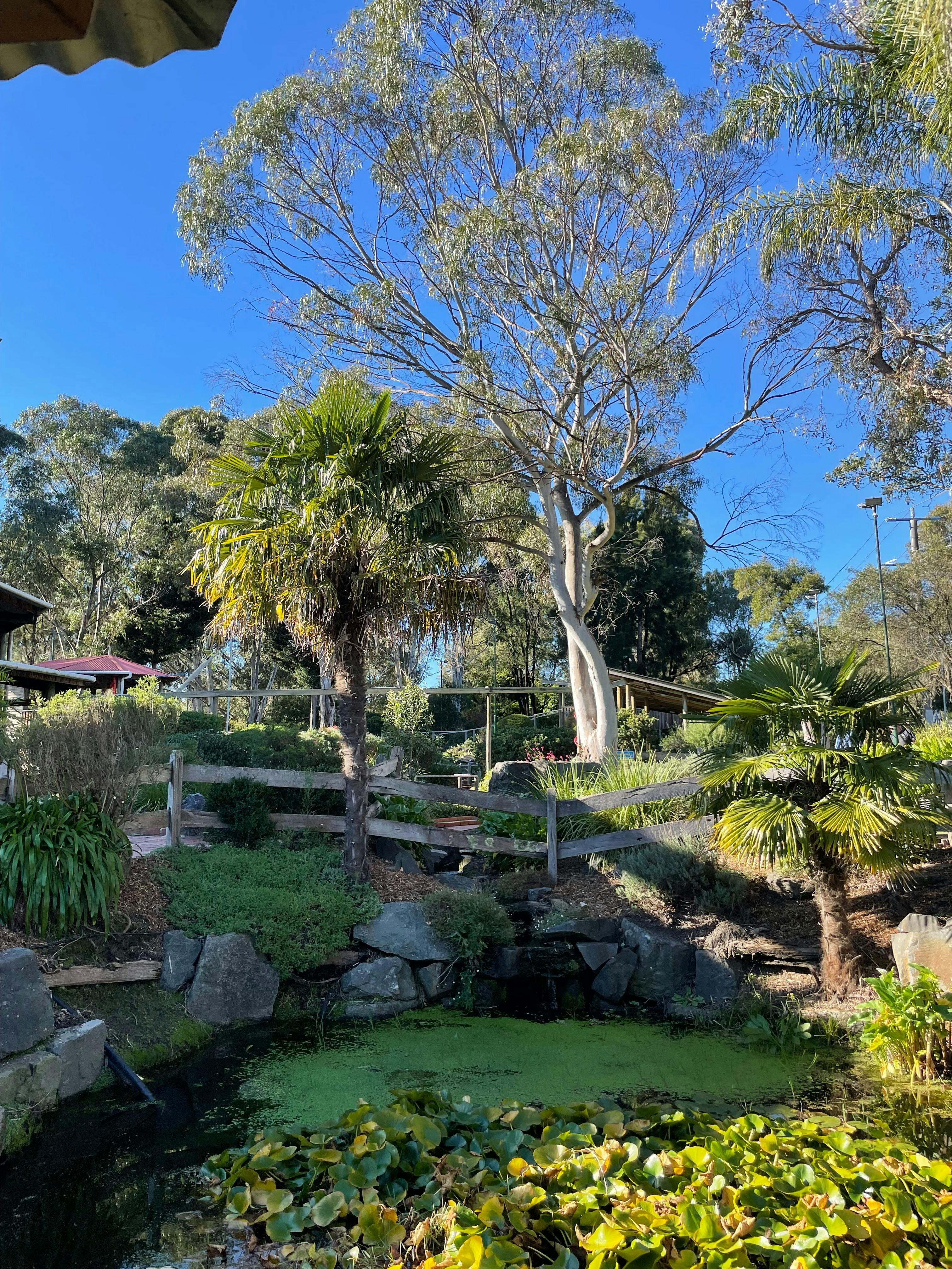 1Ce9Bdf69C2Cea7D5Efc044233F67009