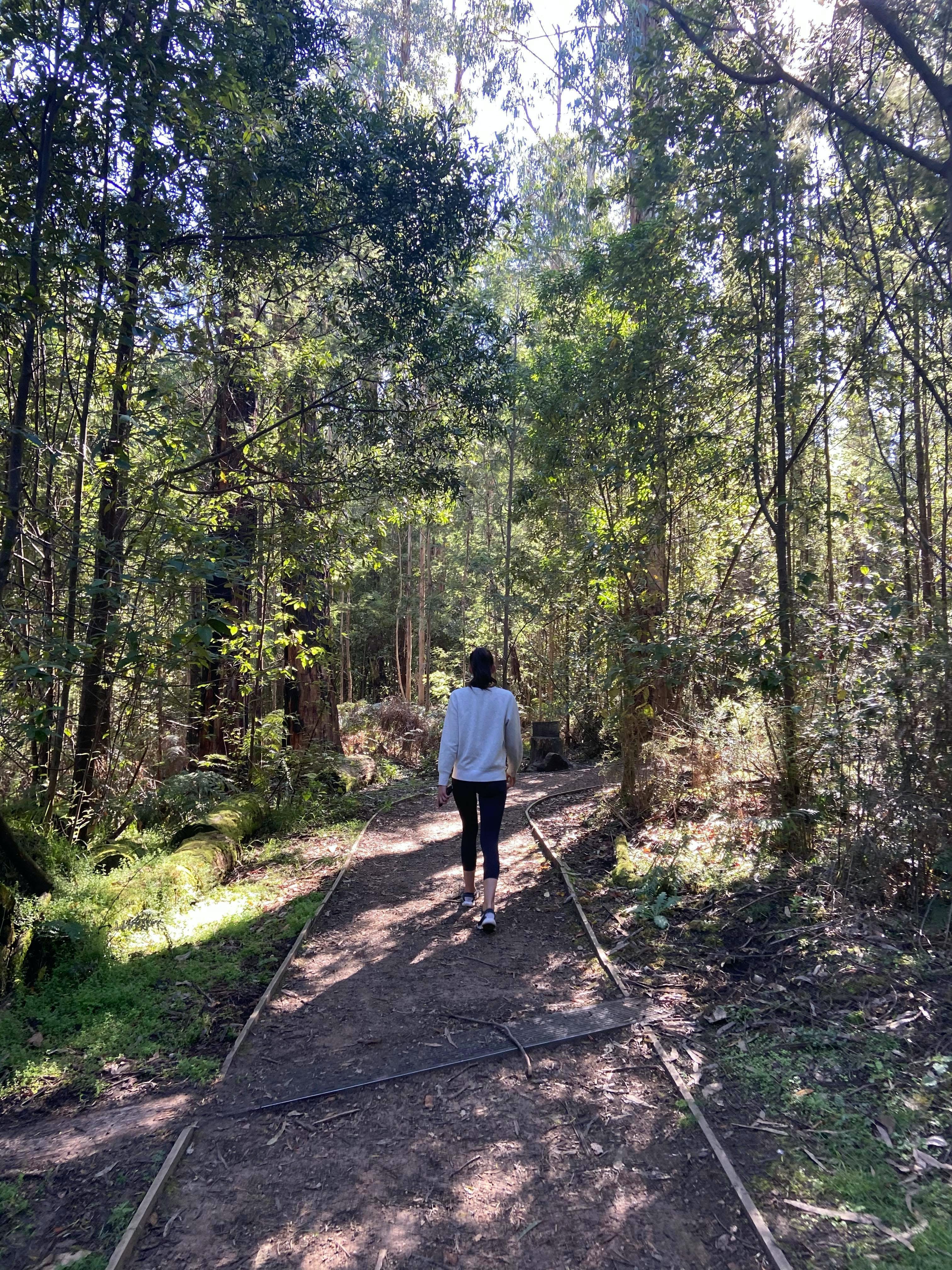 1Da9794C69Ef0Bcbcb6F2D515F692Efa