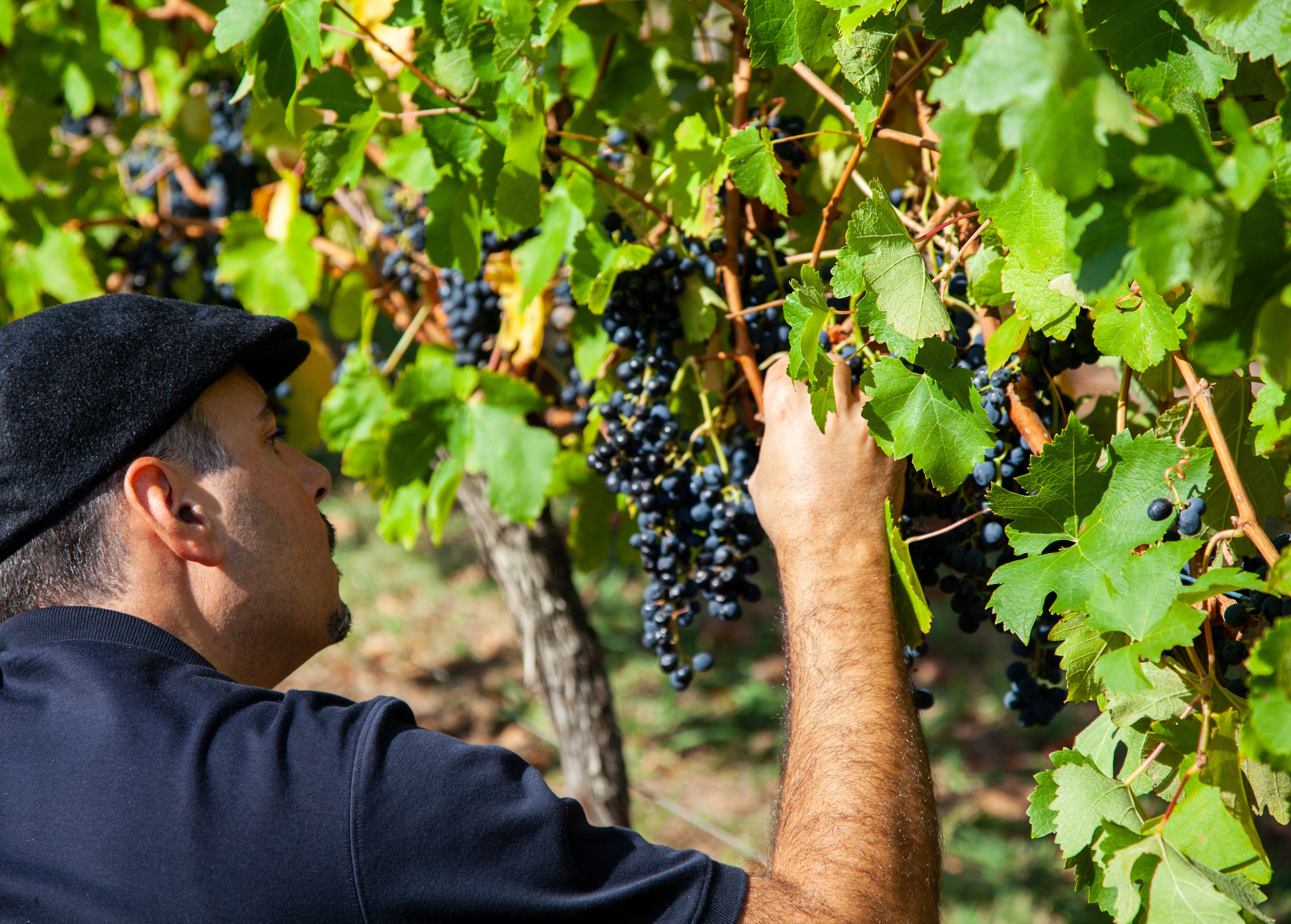 1Db67F26E19775B2892431C5E42D3Efe