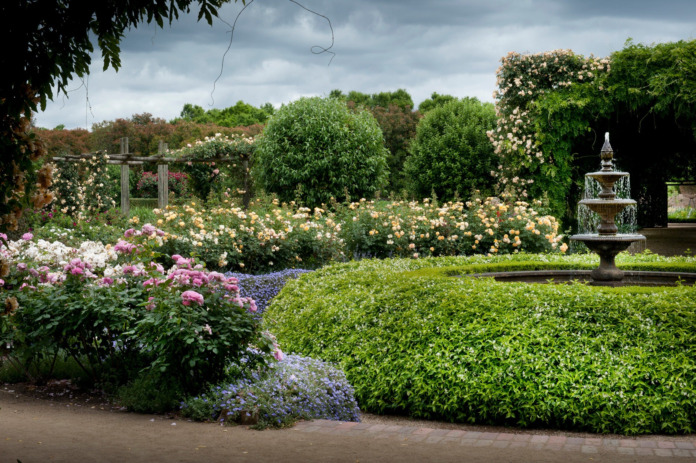 Alowyn Gardens and Nursery Visit Yarra Valley & Dandenong Ranges