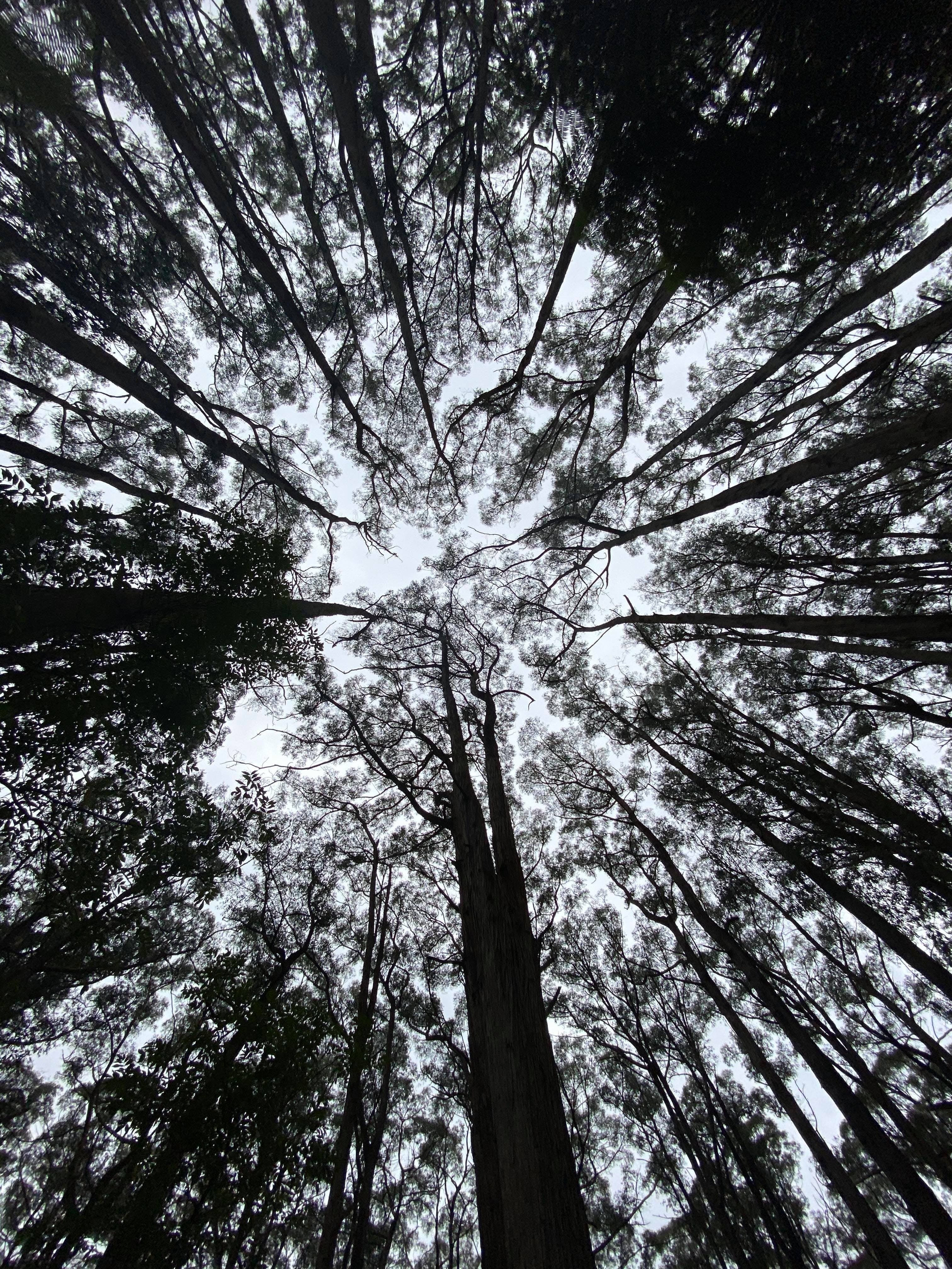 1Fa4Fa8B7150A1Deaffe9F3462Ebb666