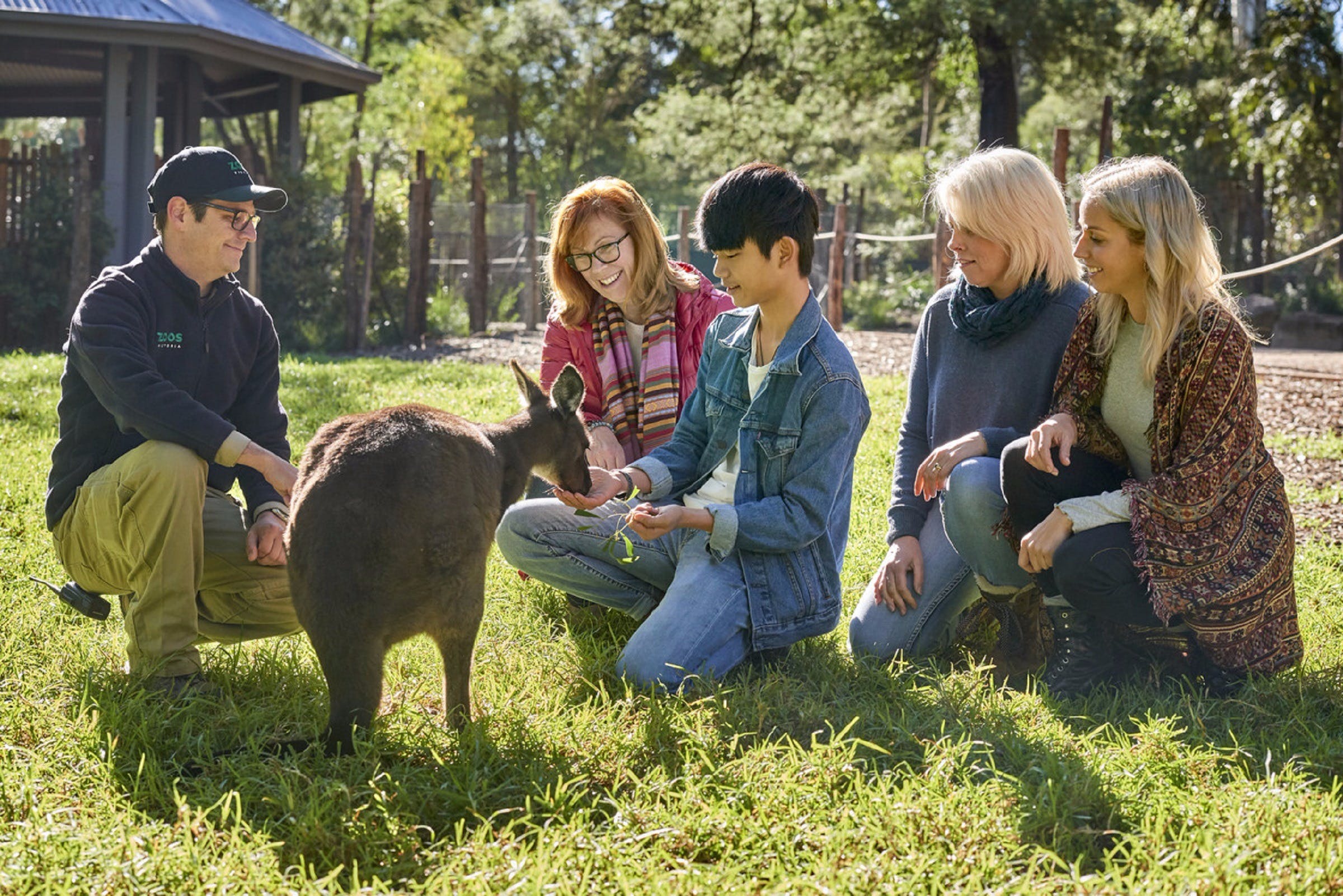 1Fc86314A0F6Cc9F01158B30Ae4F49A3