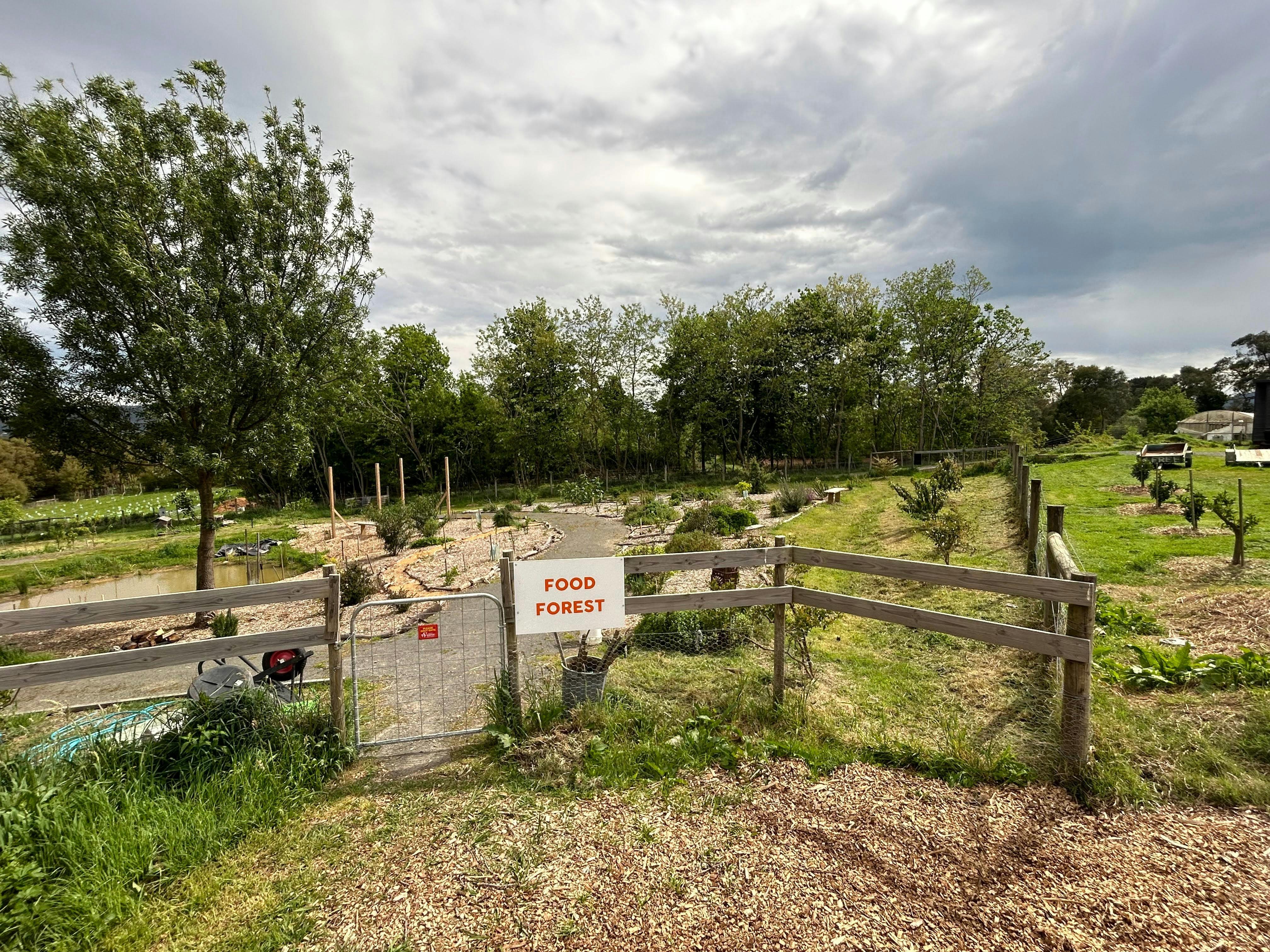 2003D1127Db531D5A3C1D352707Ef854