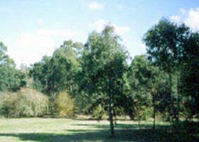 2006_2Fjul_2Facf23Dc_515O2Iy