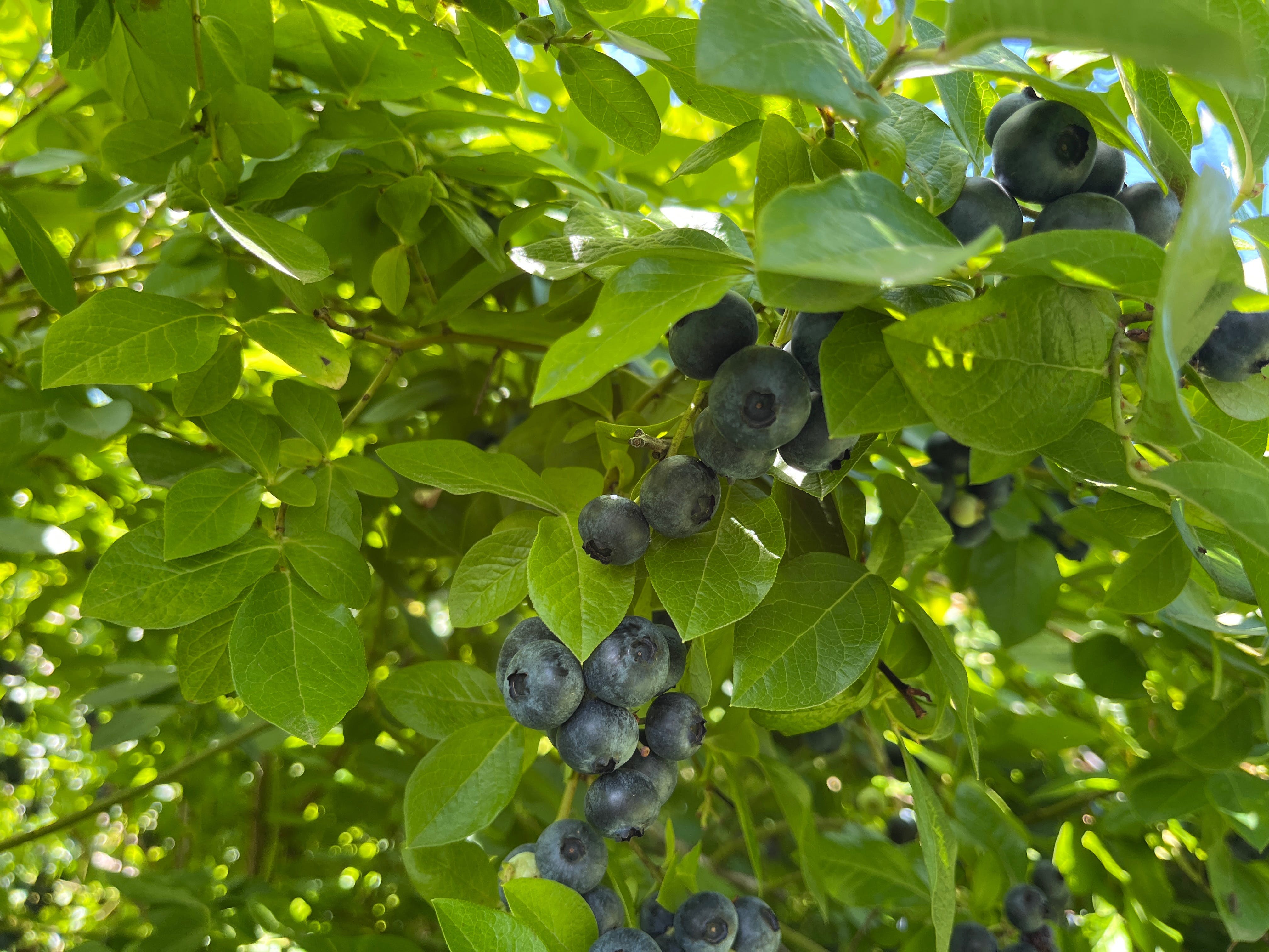 2110E15C022C2063Affd4A6A8Afeb16E