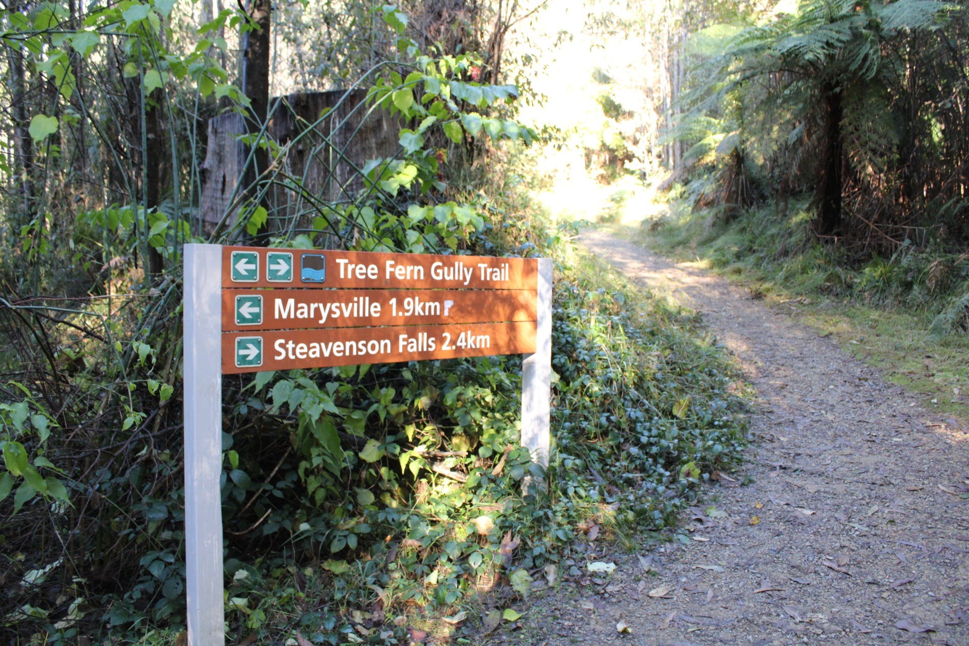 243C8A8Ef58E0Dfaf6714492A9C83069