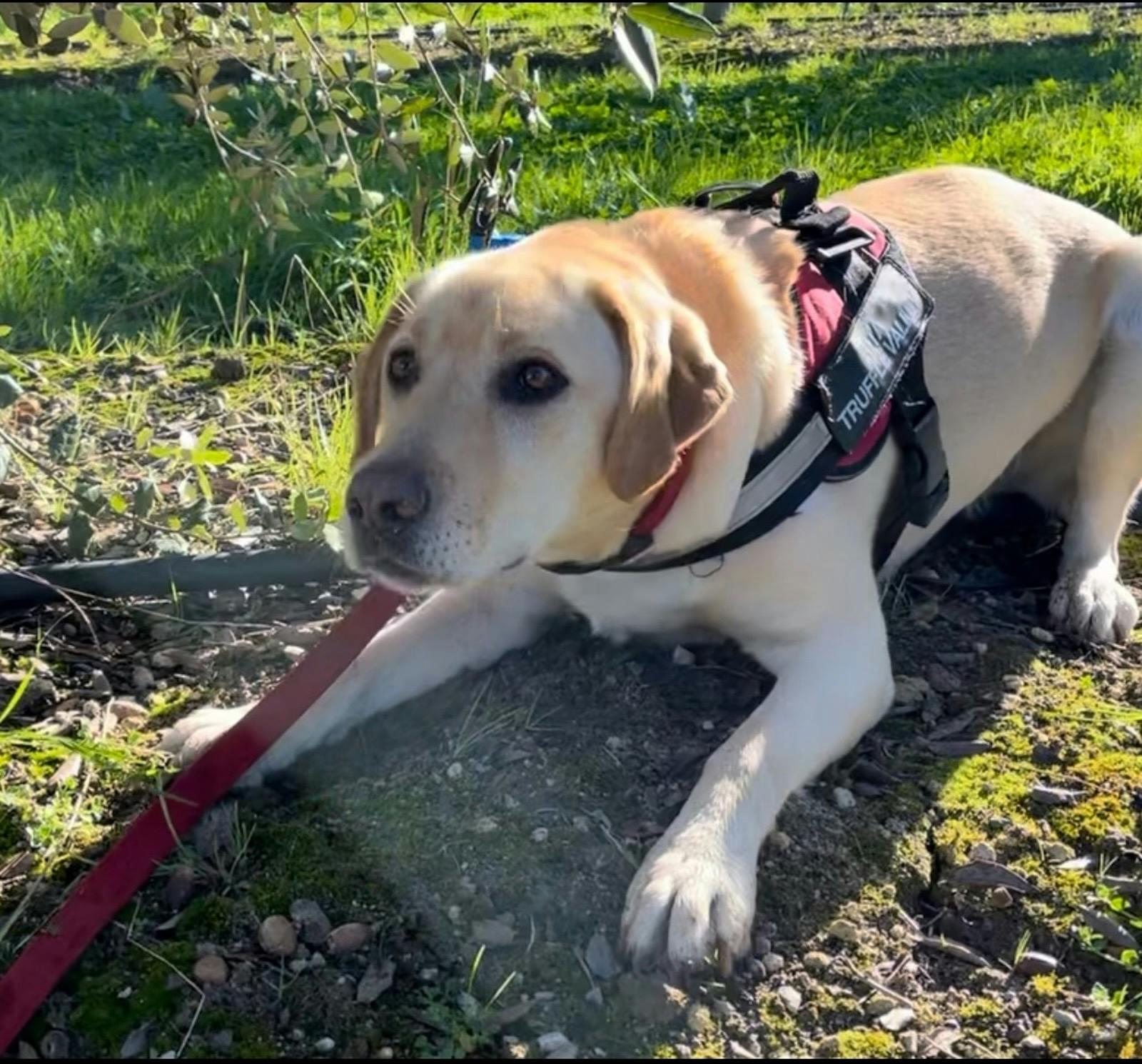 243F56091Ddff656044335Fa4D4E4A89