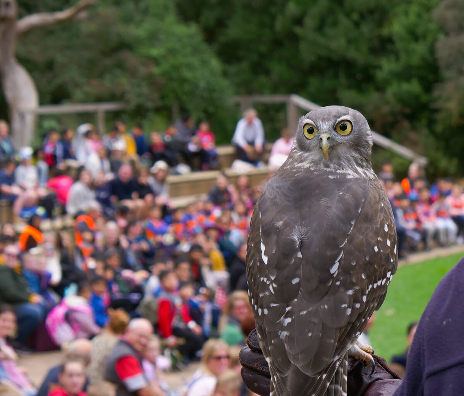 248A75772E9Aa87F5Bb3A30991F806Bb