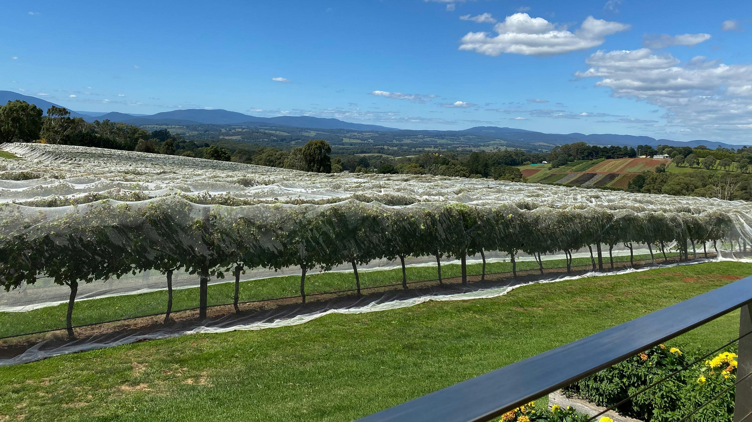 26C02711Bad7D97F4Ec97E0F8A8Eec4F