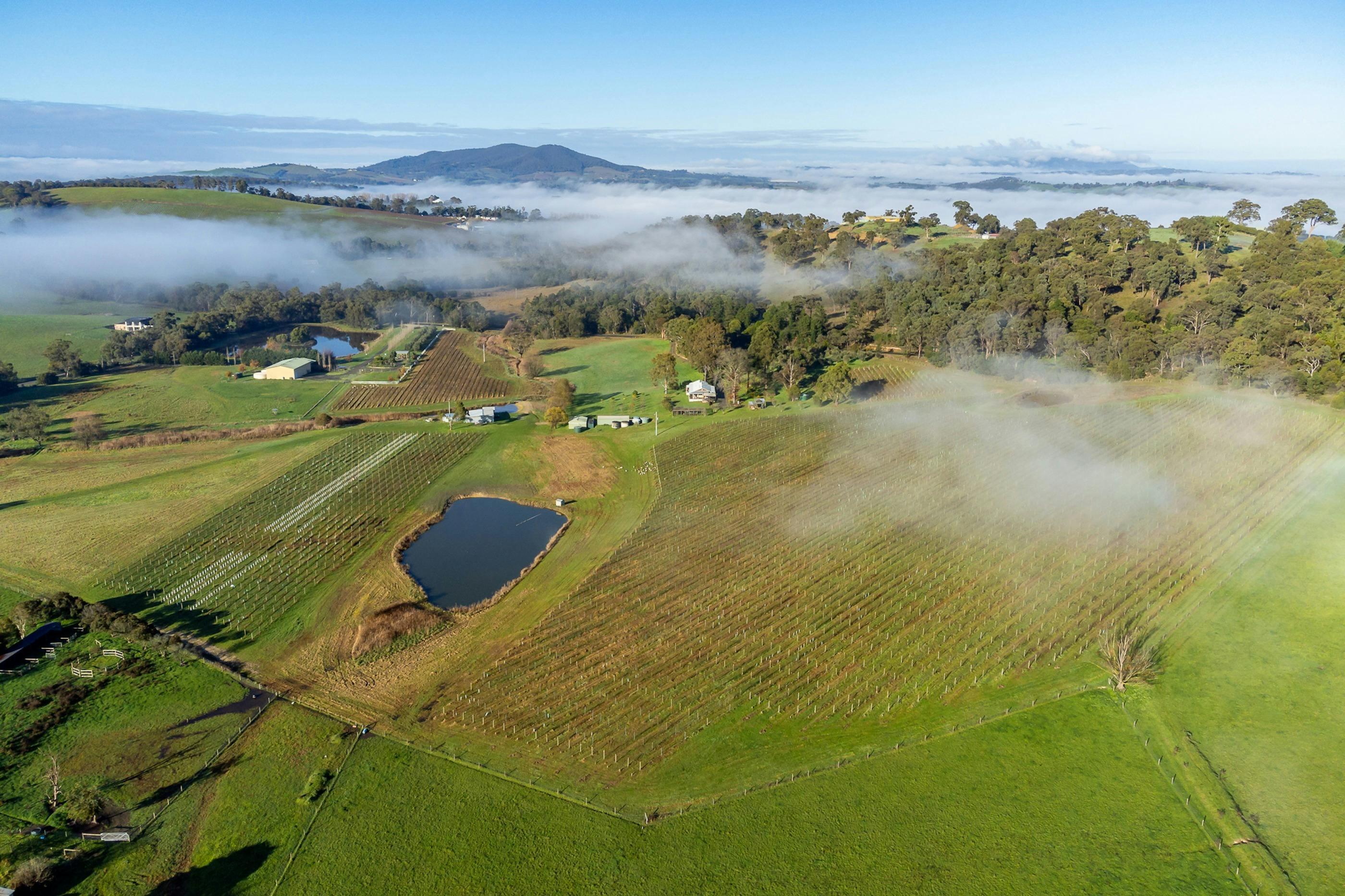 279F77373Fda0111C6667484C79A66D7