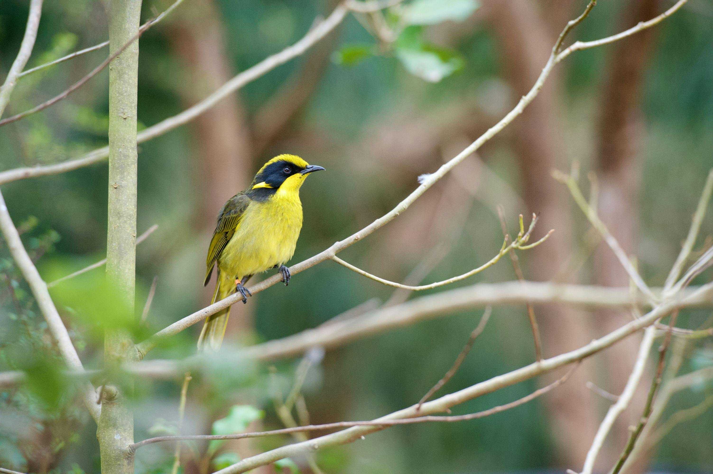 27Baee19B3Ea41F1Aec34F7Cb5A19F73