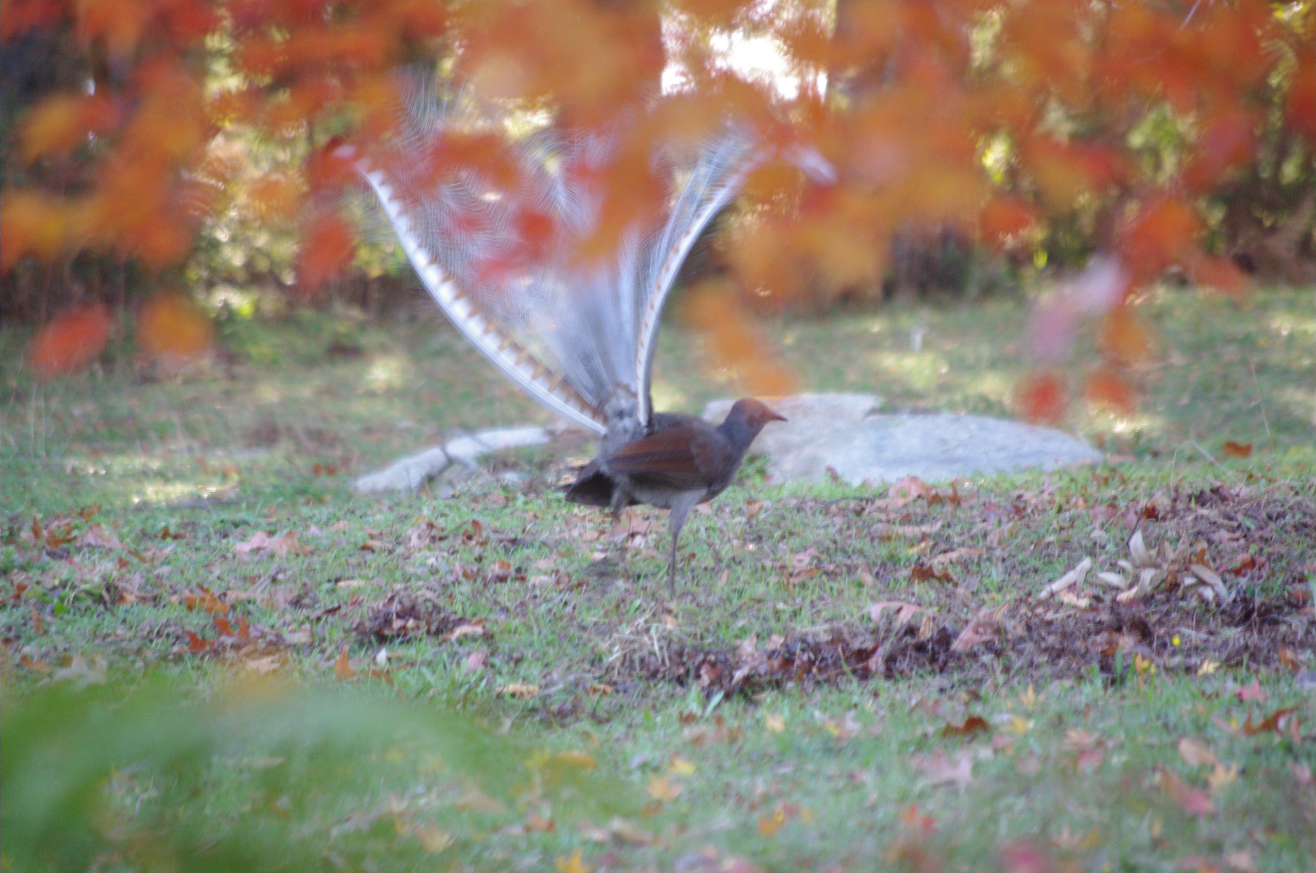 28B1590A0Bc710847Ee2Bcd08C7C8C9C