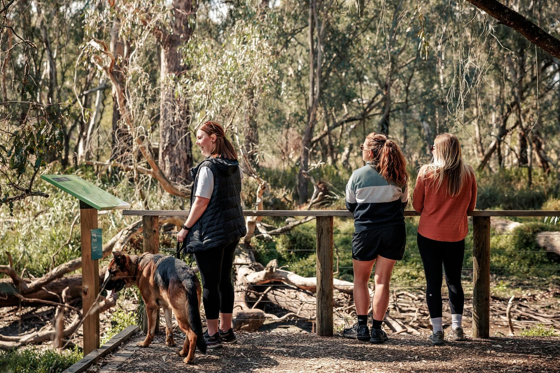 290184333Eed3C7B965078F74Bdd3Cf7