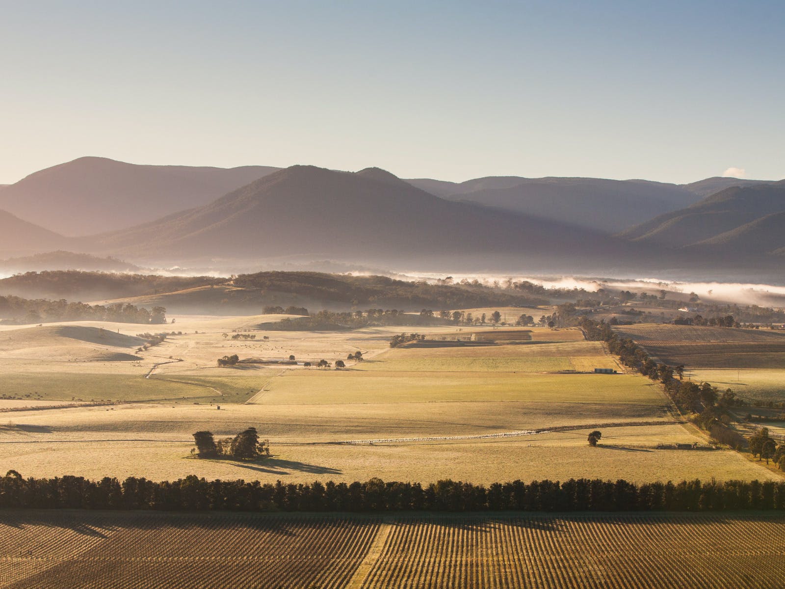 2980E2Ce49Dea74675Ec11020Bab8C27