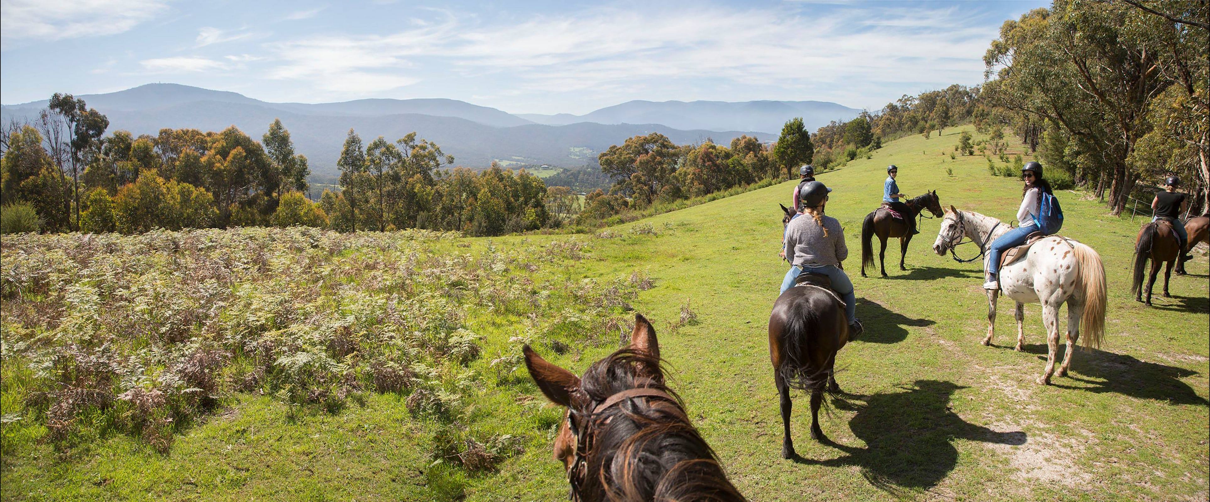 Chum Creek Horse Riding and… Visit Yarra Valley & Dandenong Ranges