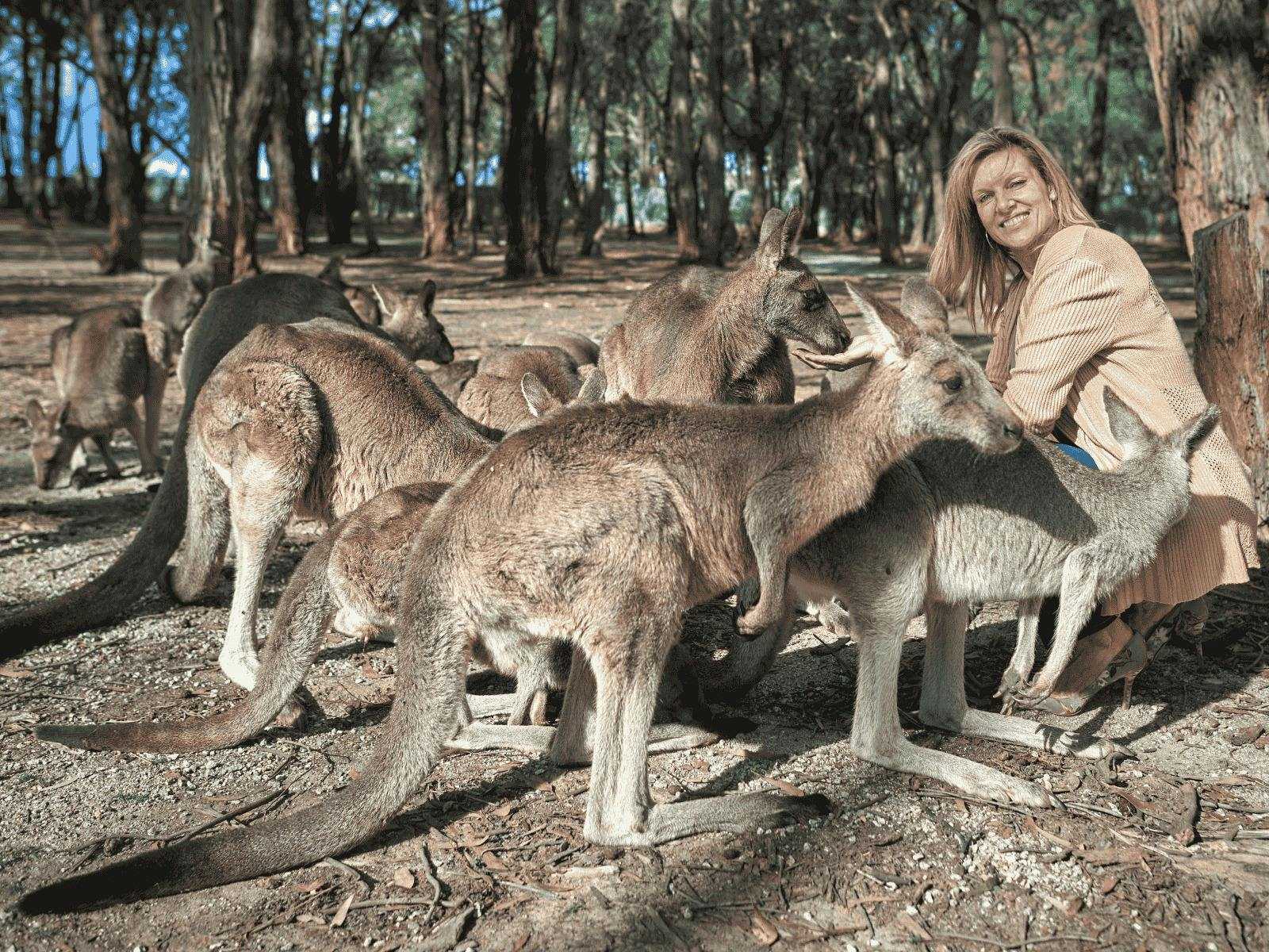 2B306773Bd2A84Bfd9F7E0062B2Ac0Dd