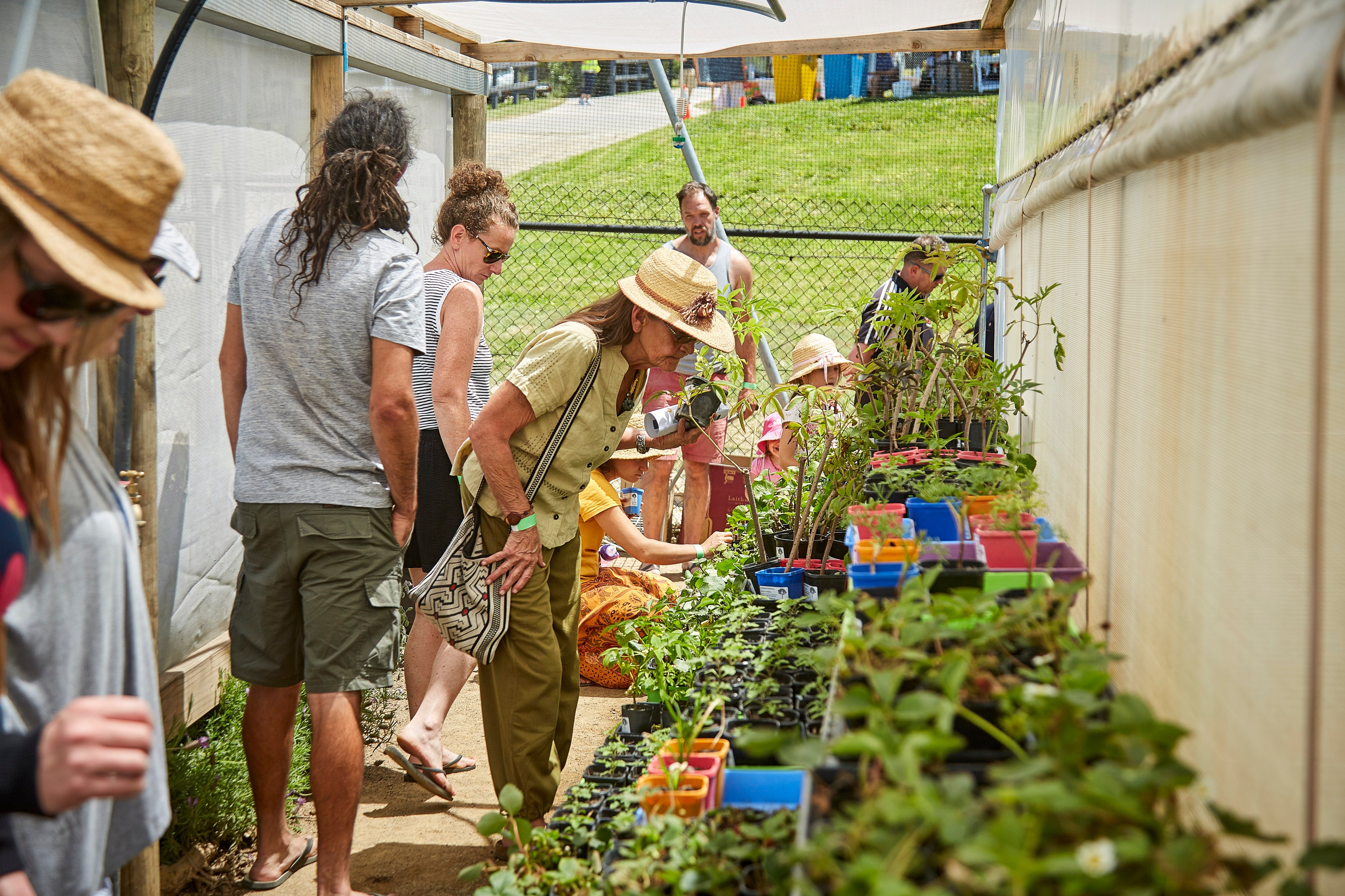 2Be7Df1D97A264D53378834354Fee96B