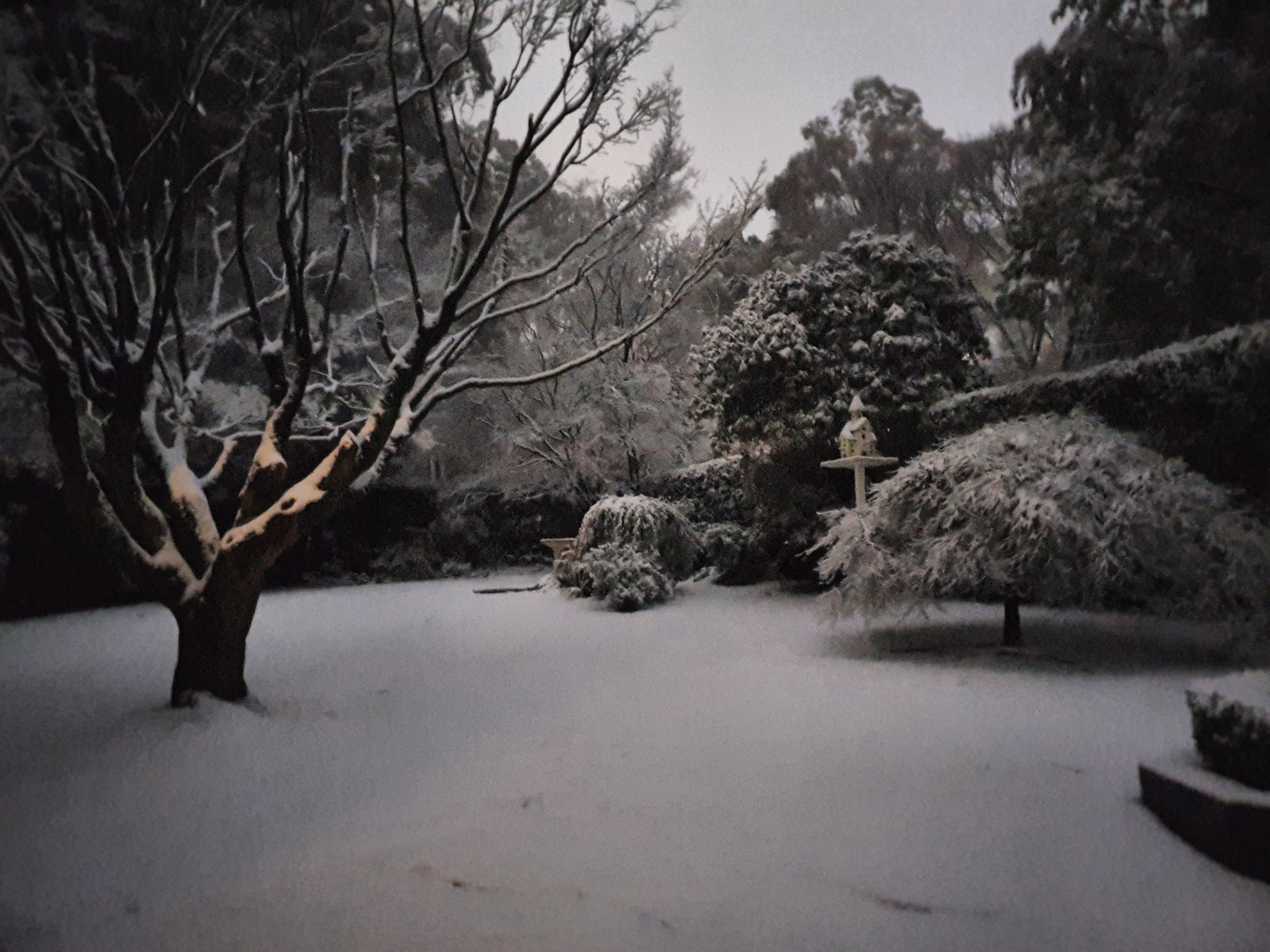 2F73F1056D37Ce874759Aa79Bfd445F4