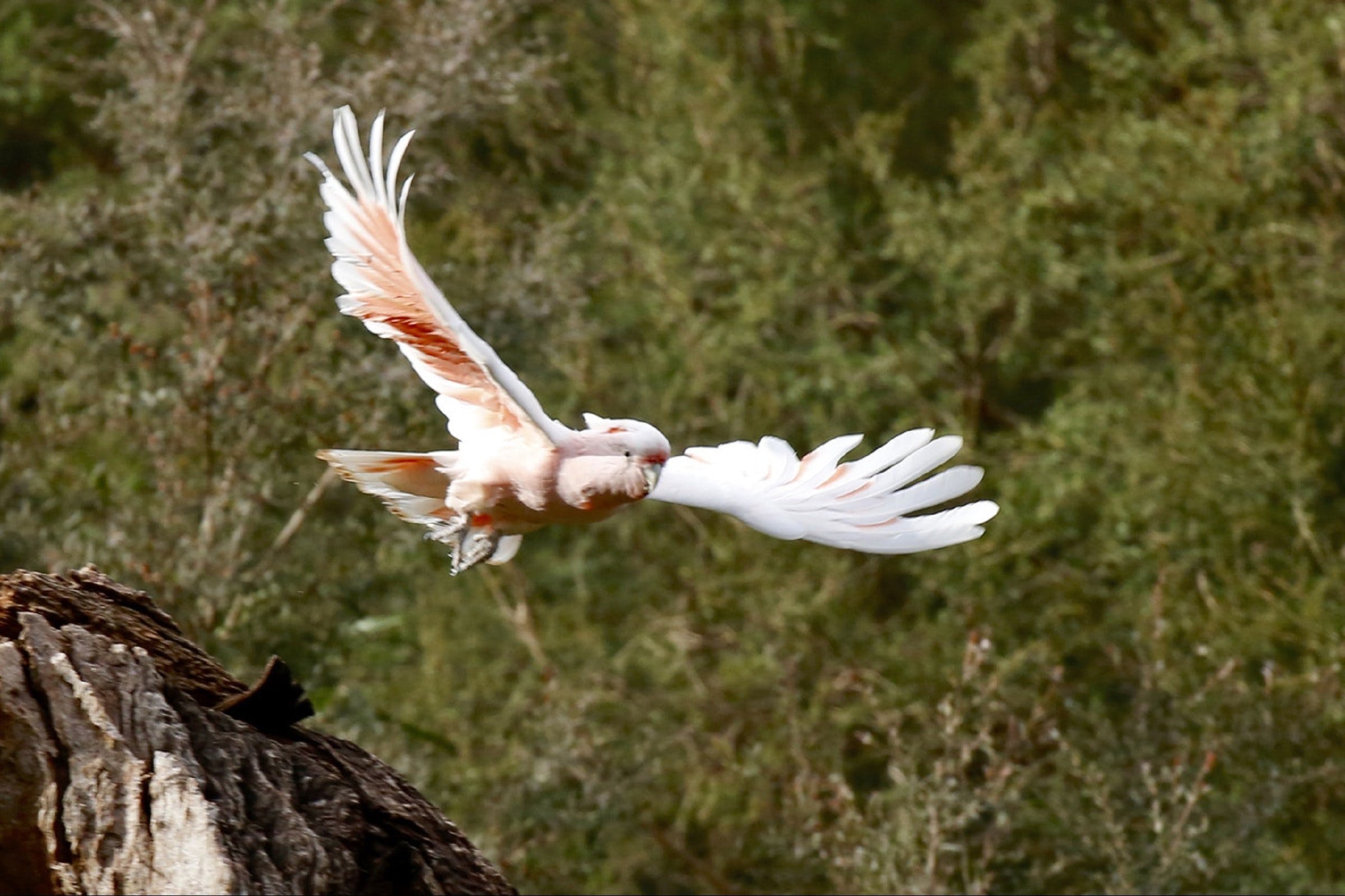 2F84C802Fc81A76C0D98C7F38Aa7Fc16