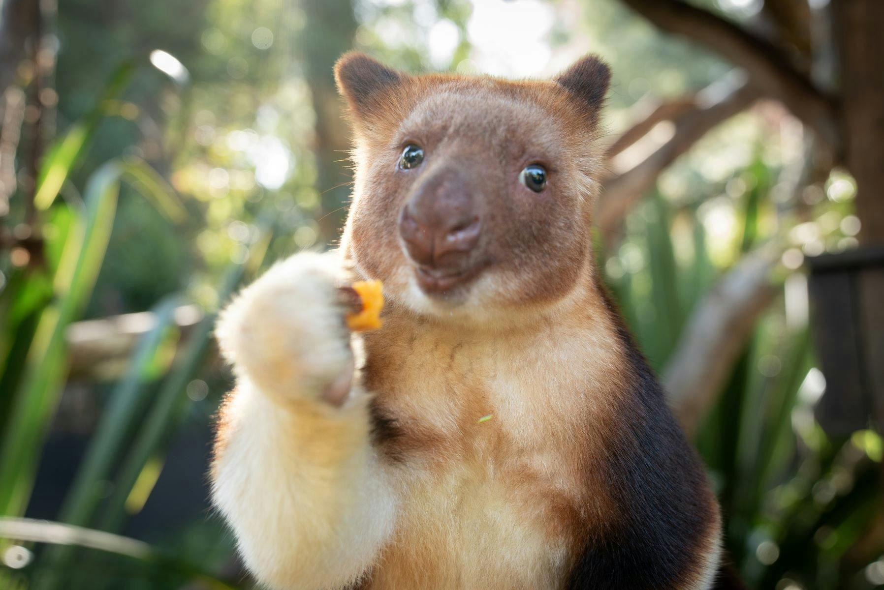 3354A861A21362B27C2A3F6Faa1Aa845