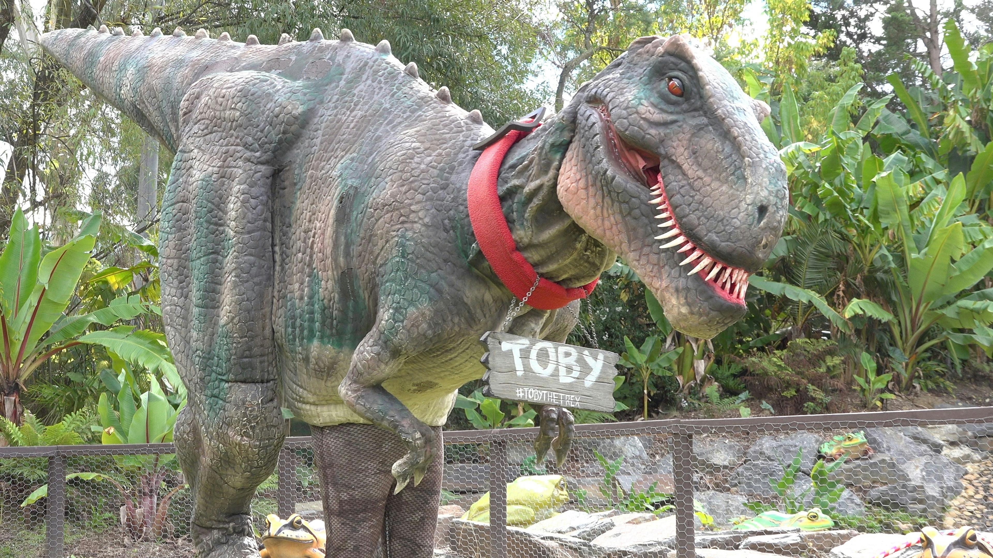 337A82155C4E5Aed13528A905Db3A1A7