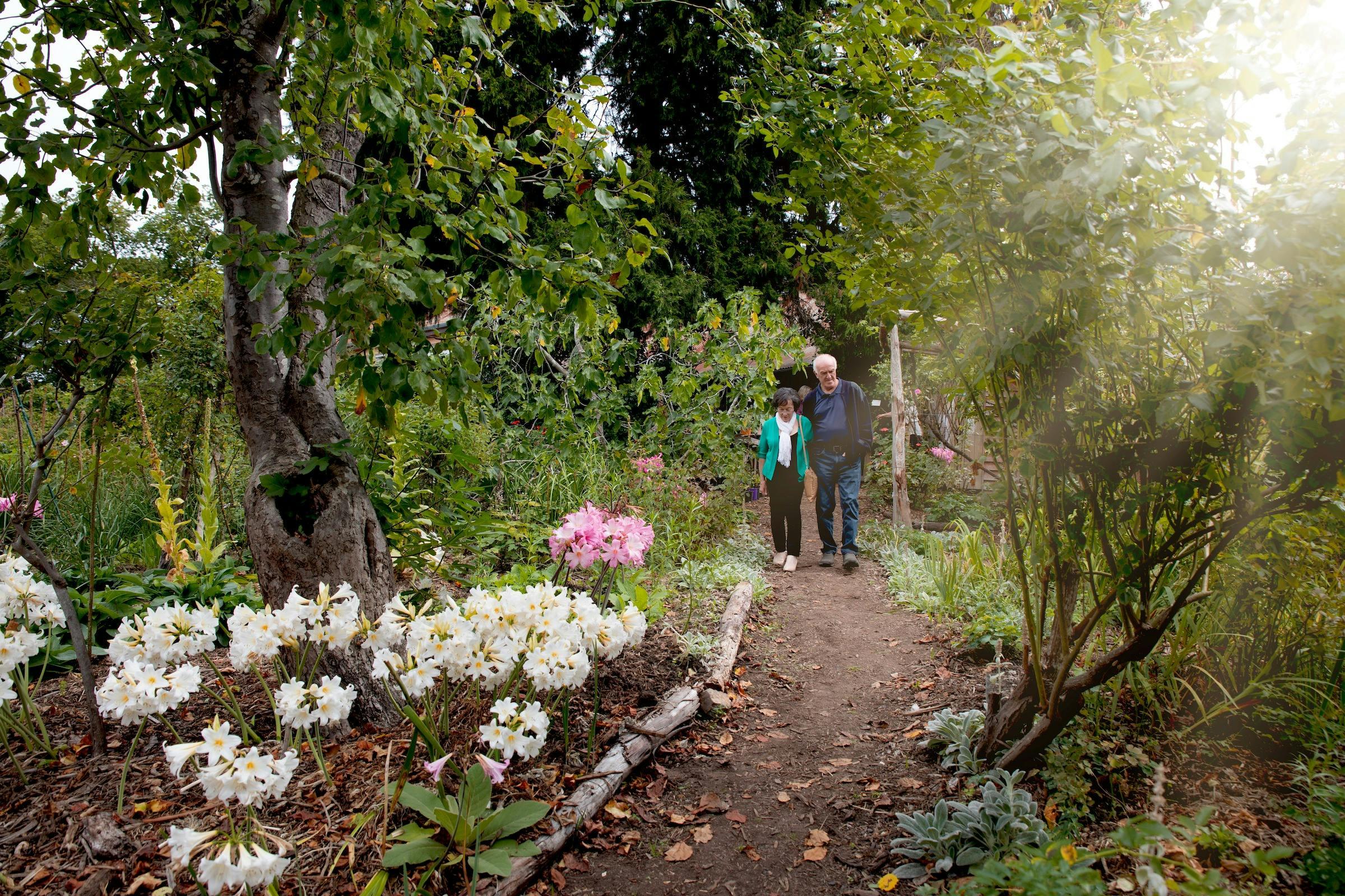 33Cbcce445Bfb50F02079D323E0A4070