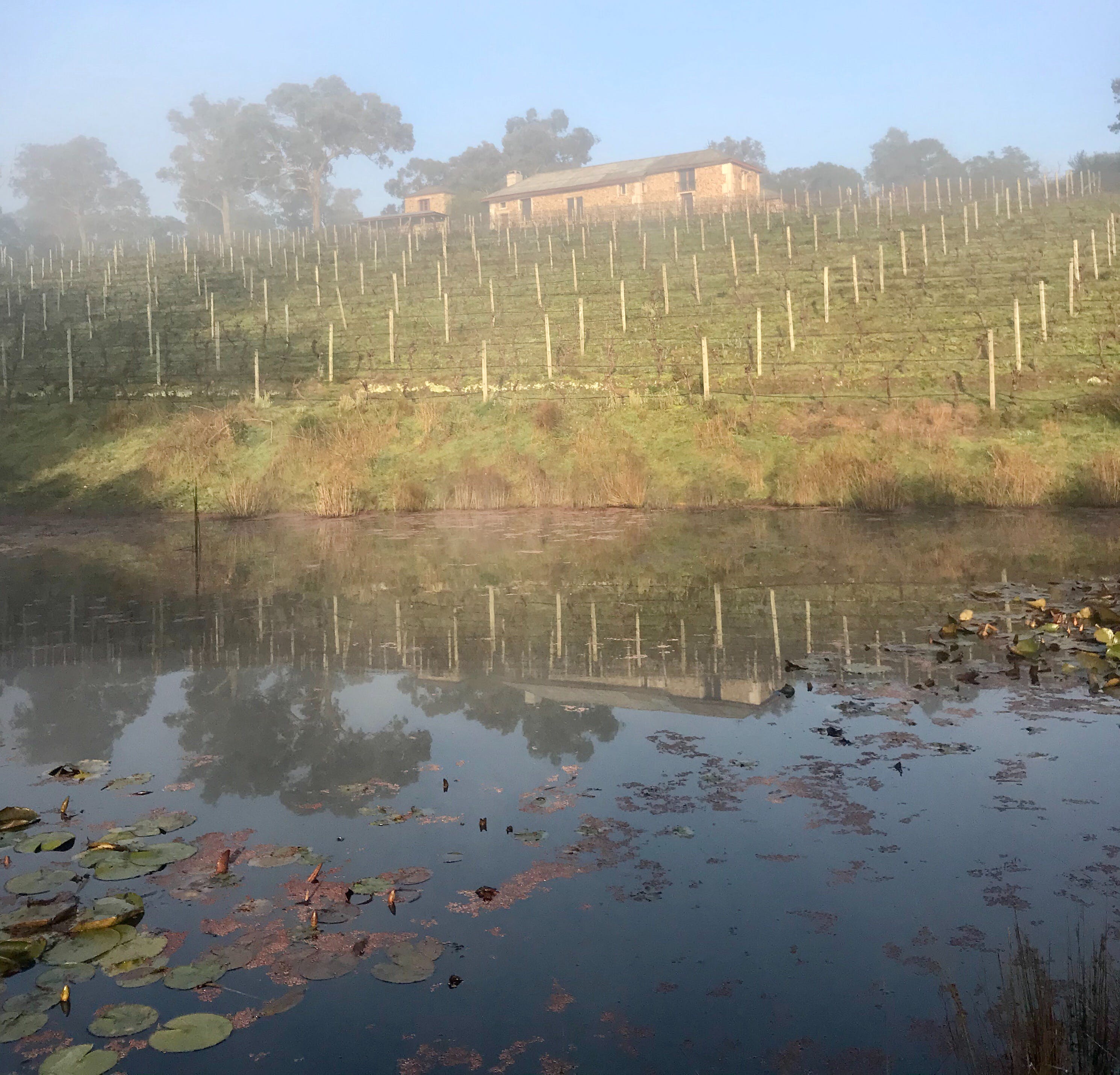 34C9E71A03A7885Db1274Ae13D354064