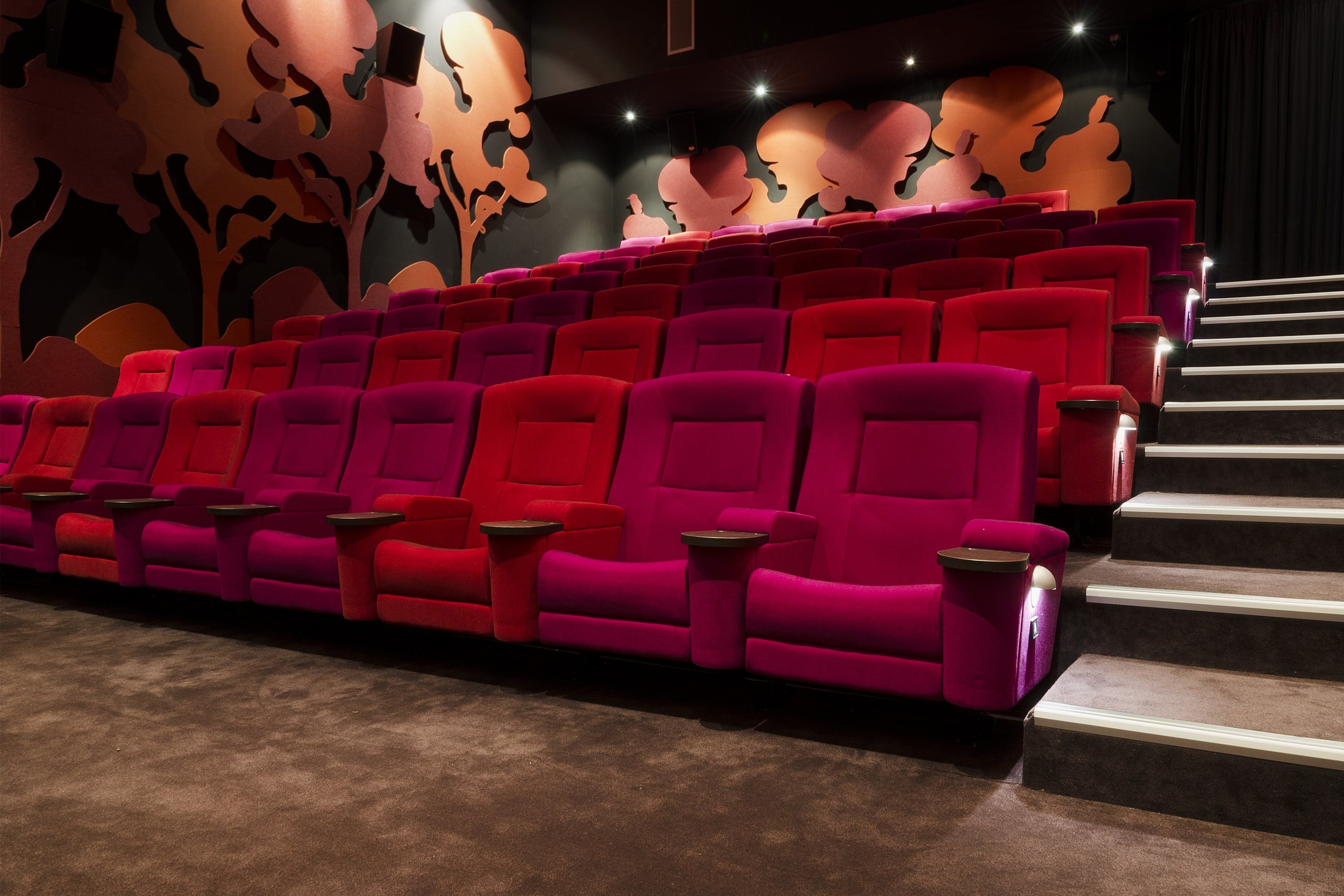 Cameo Cinemas Visit Yarra Valley & Dandenong Ranges