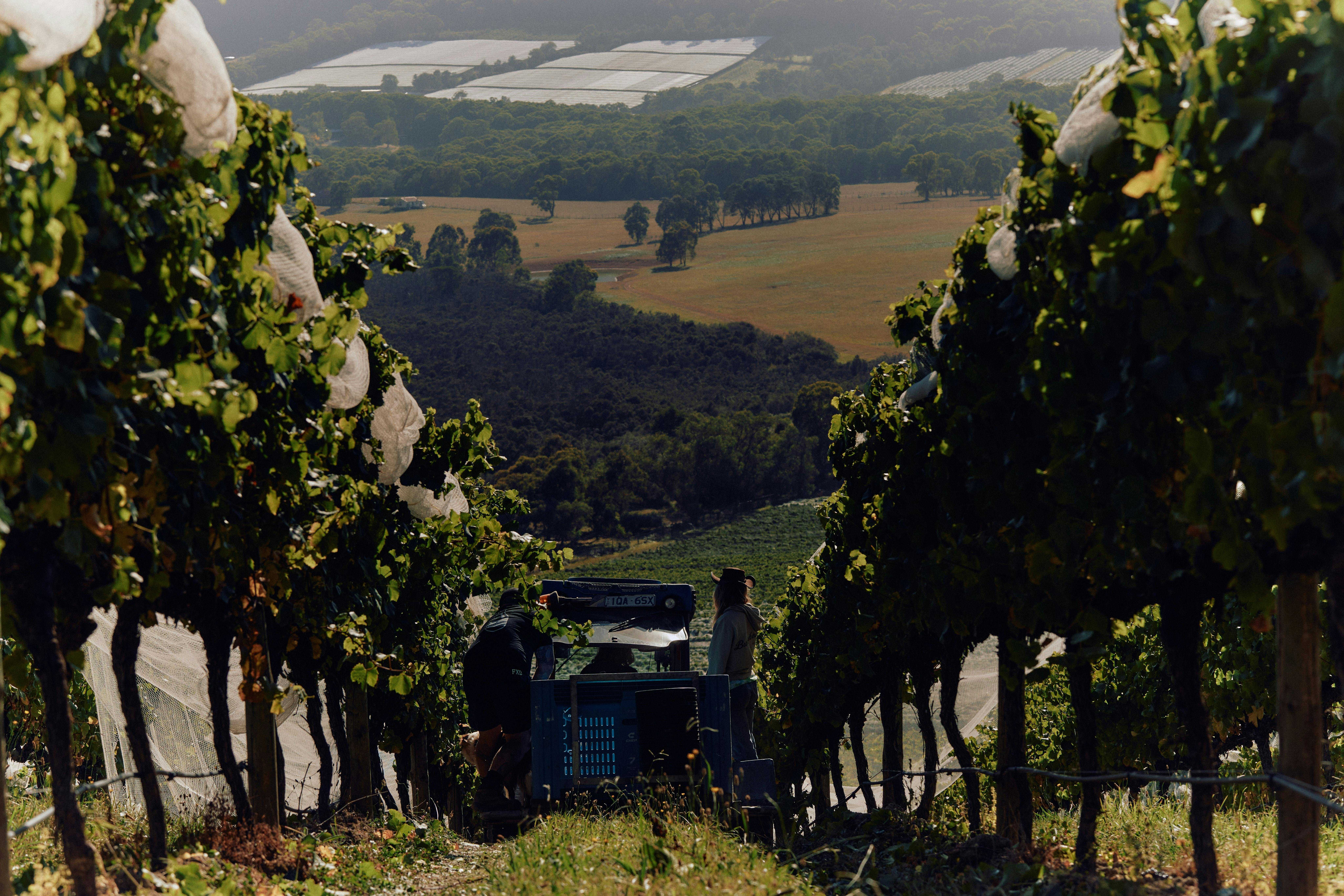 37918Ce82E6Dd3B0600446646Bc48B1F