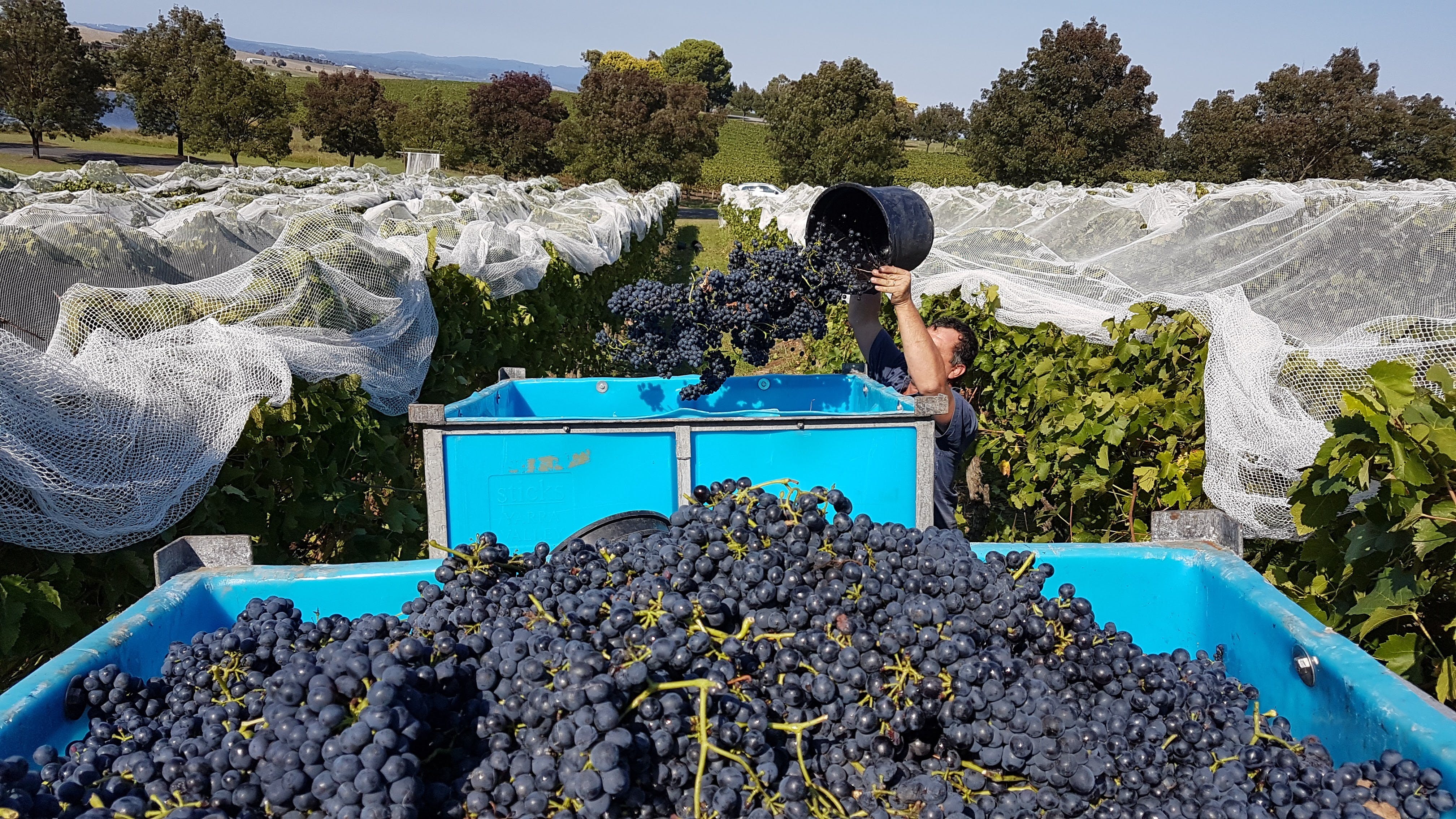 3829Be614409Cdcdf5Ea0C11919Ab13C