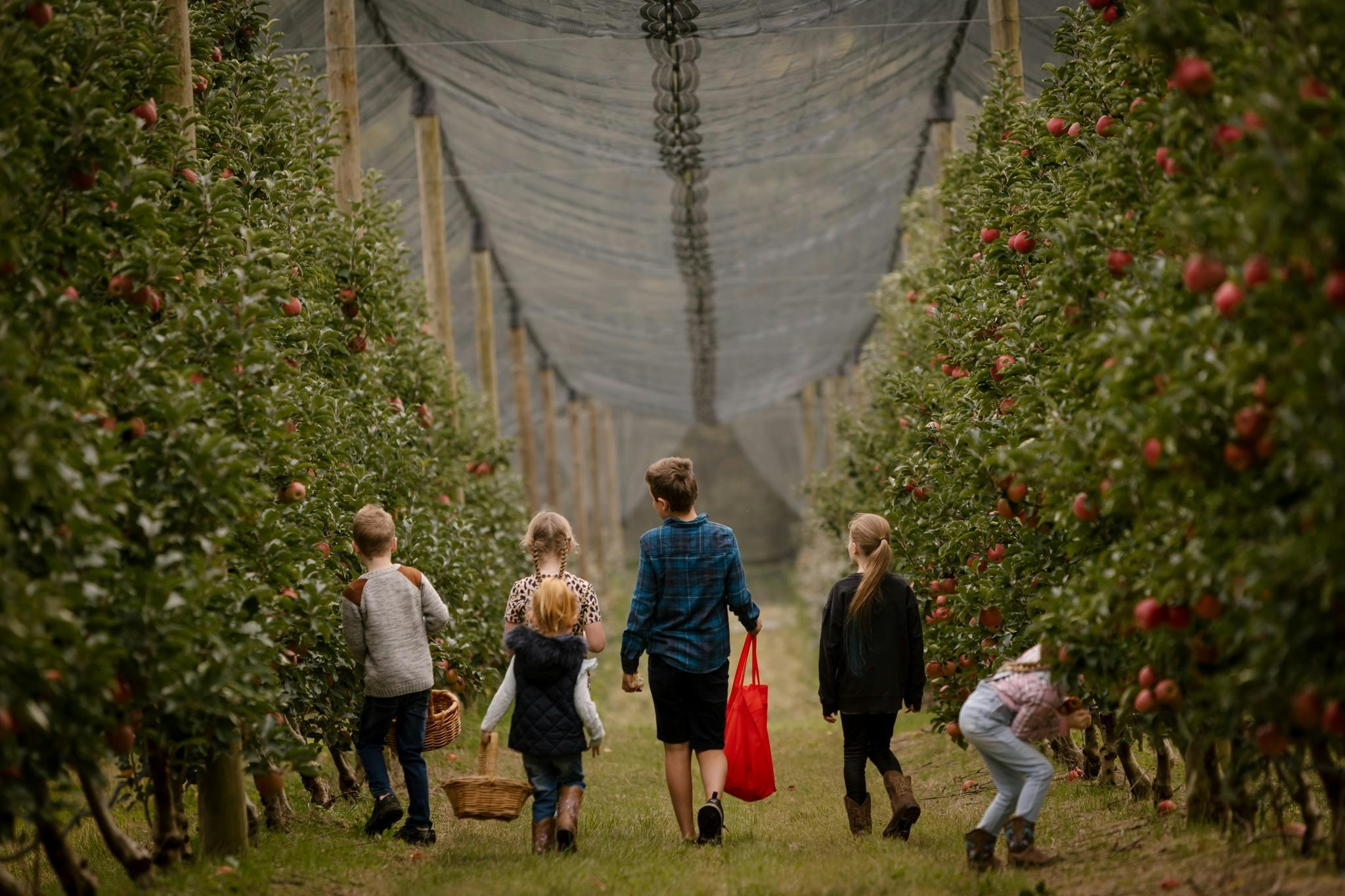 39C3361809A9Bf236501393733A119C1