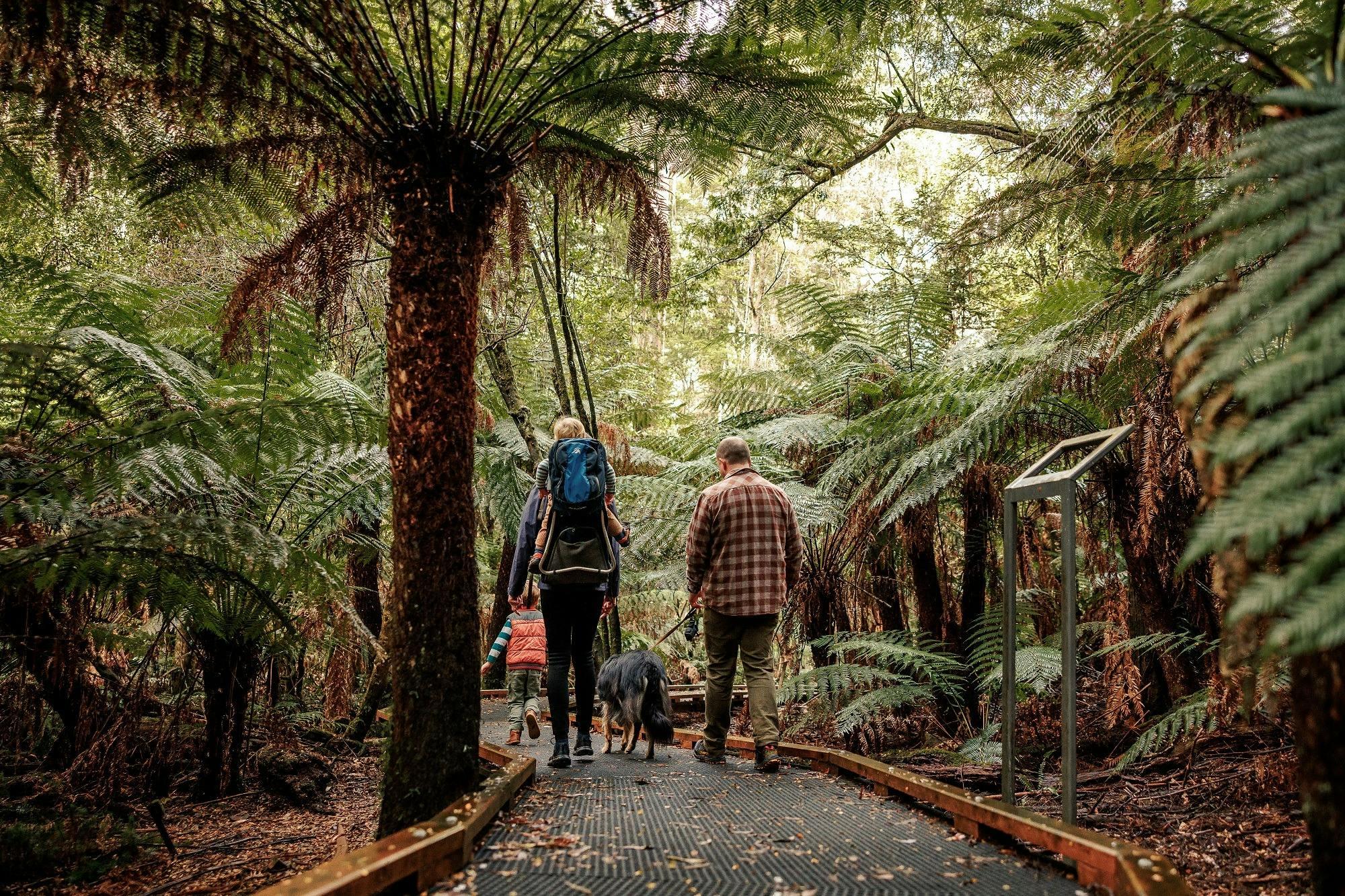 39Dd33Bf62E351D4437D4F7F8C31A4C8