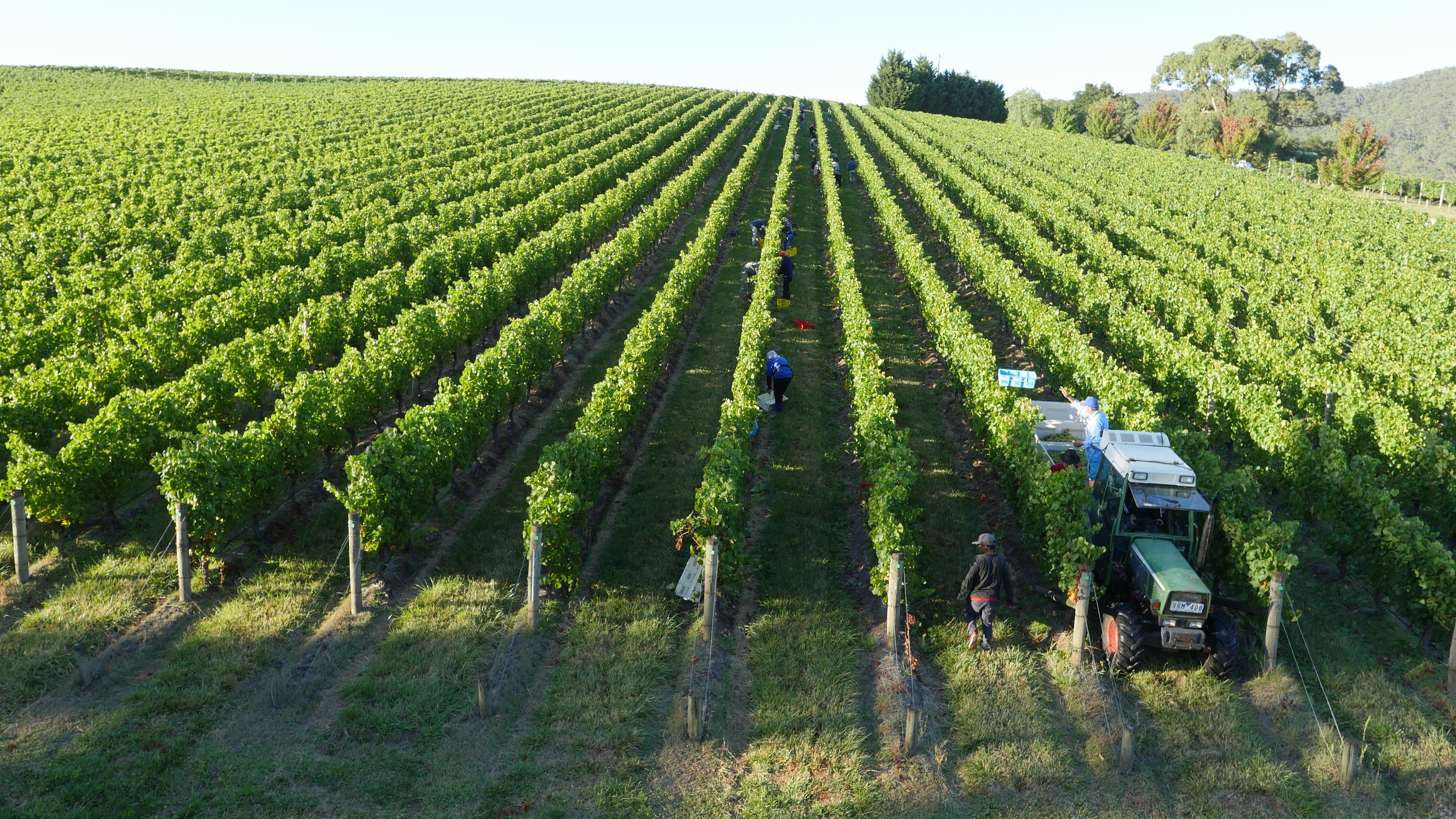 3A74C1A0Fd0Cc3E3Ba2641A0087B97Fb