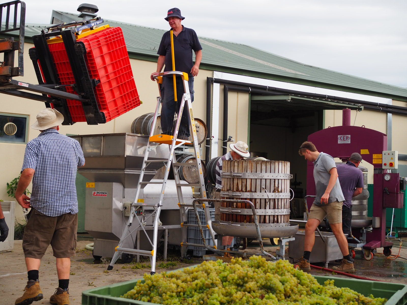 3Db0C82527A8046De3Cf88E28991112E