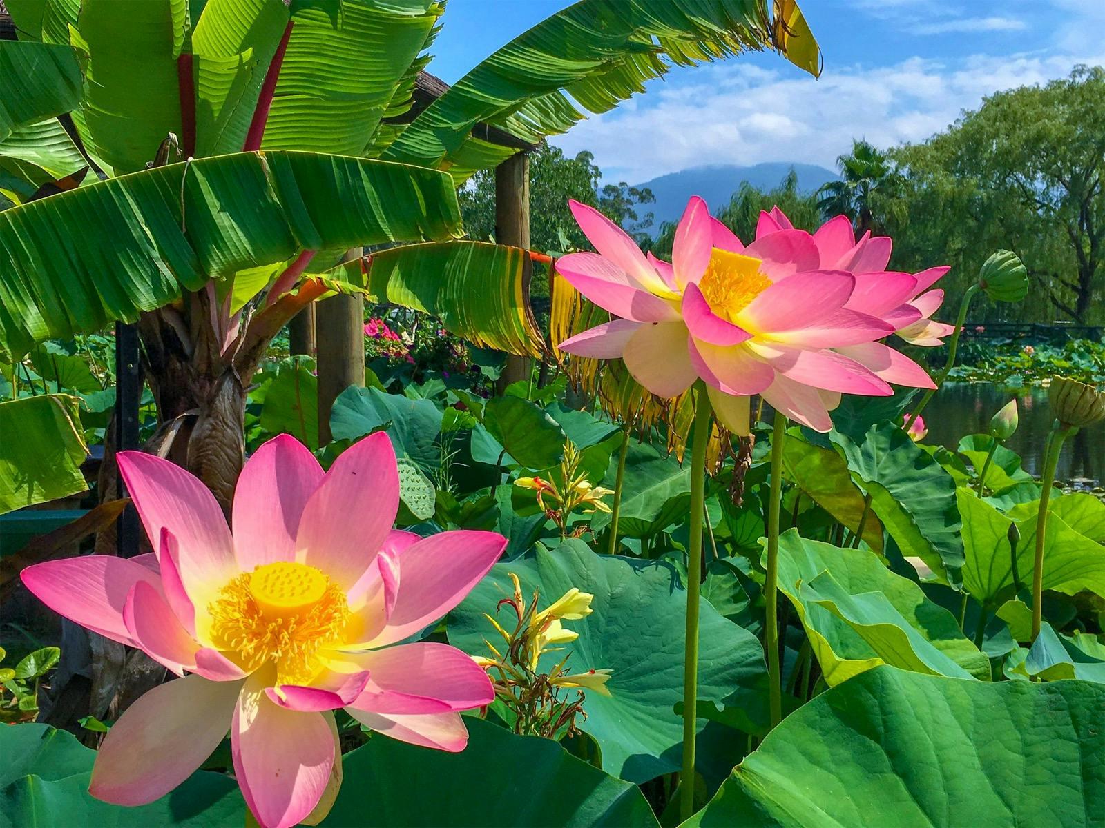 3De3Fd8Aed83C926Af6B0Cb8189Da281