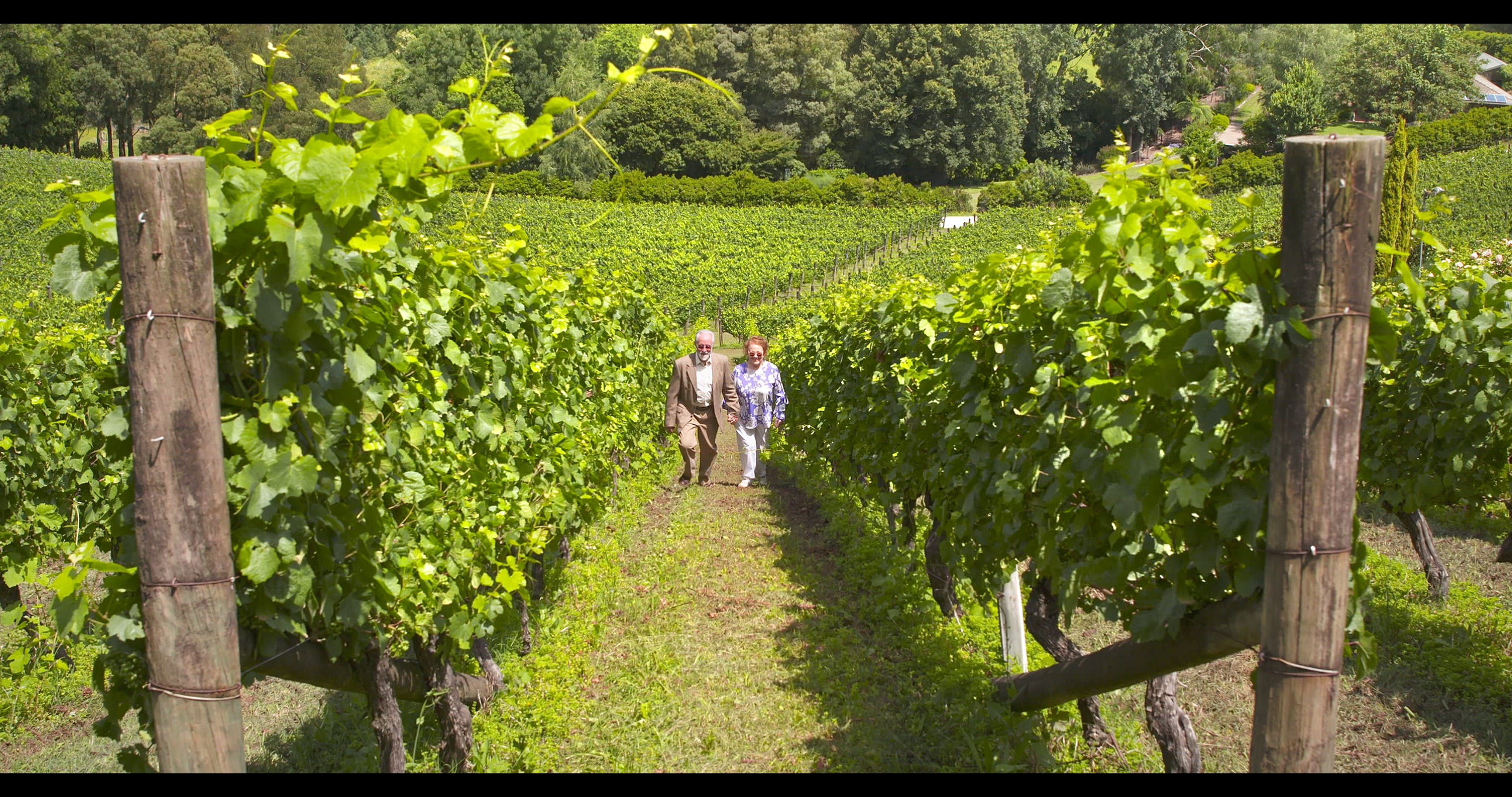 3Eab0D4Ccd9Ed9F17Cc840E9219756Ff