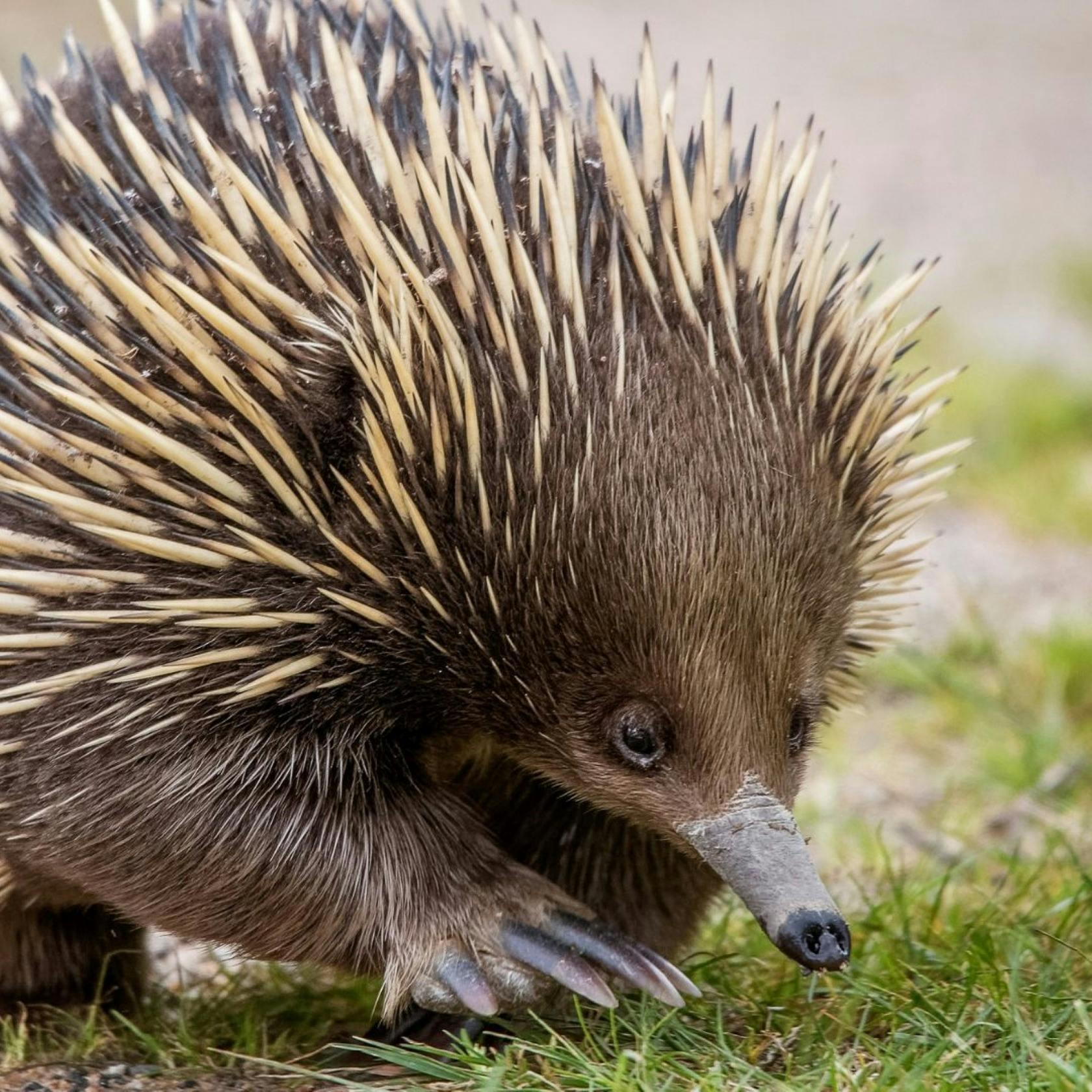 3F9A67859B828A2Fafb6Cded633Ca6F9