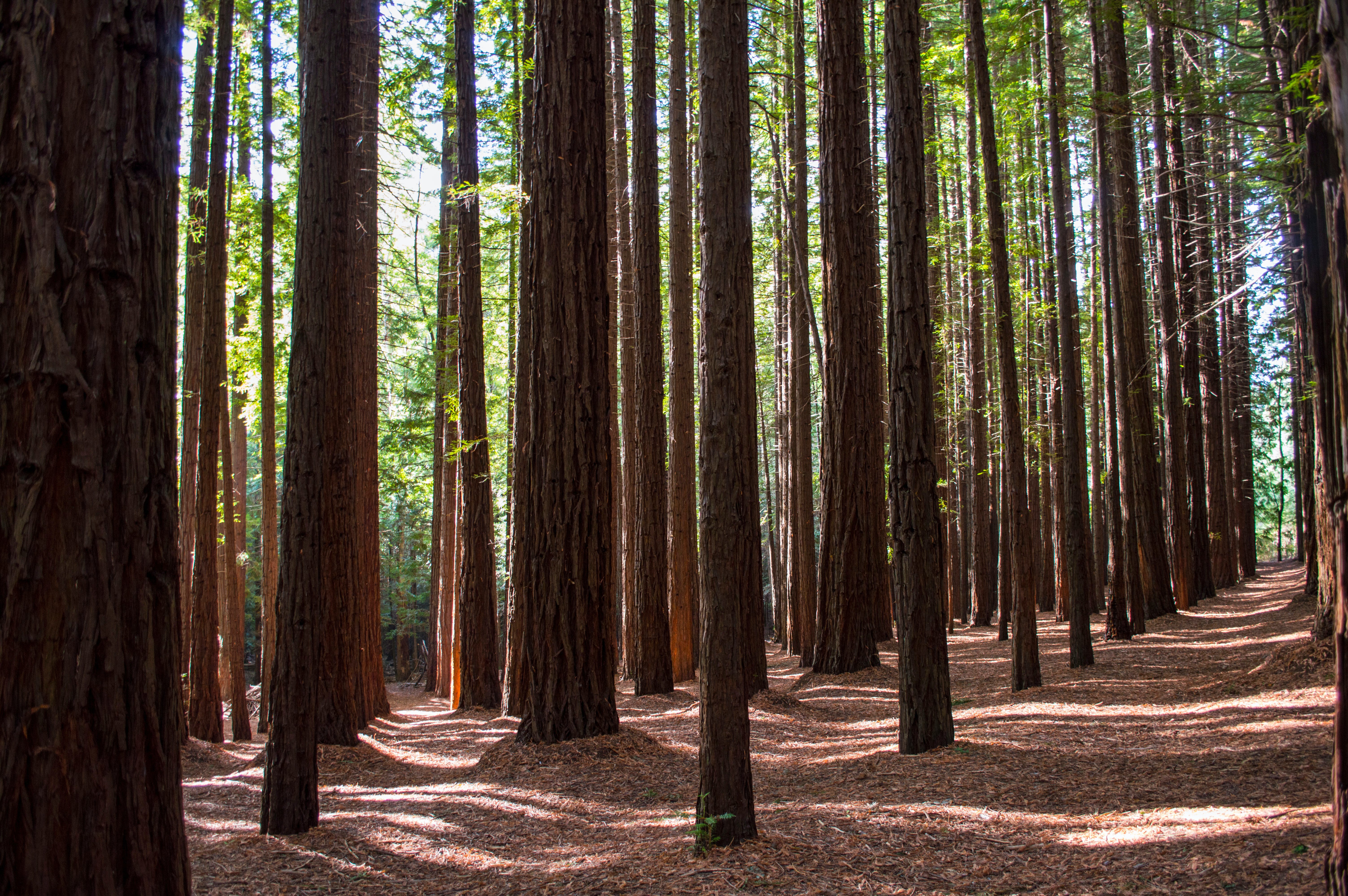 3Fed92F0845Ddc8939De5Befd1E3281A