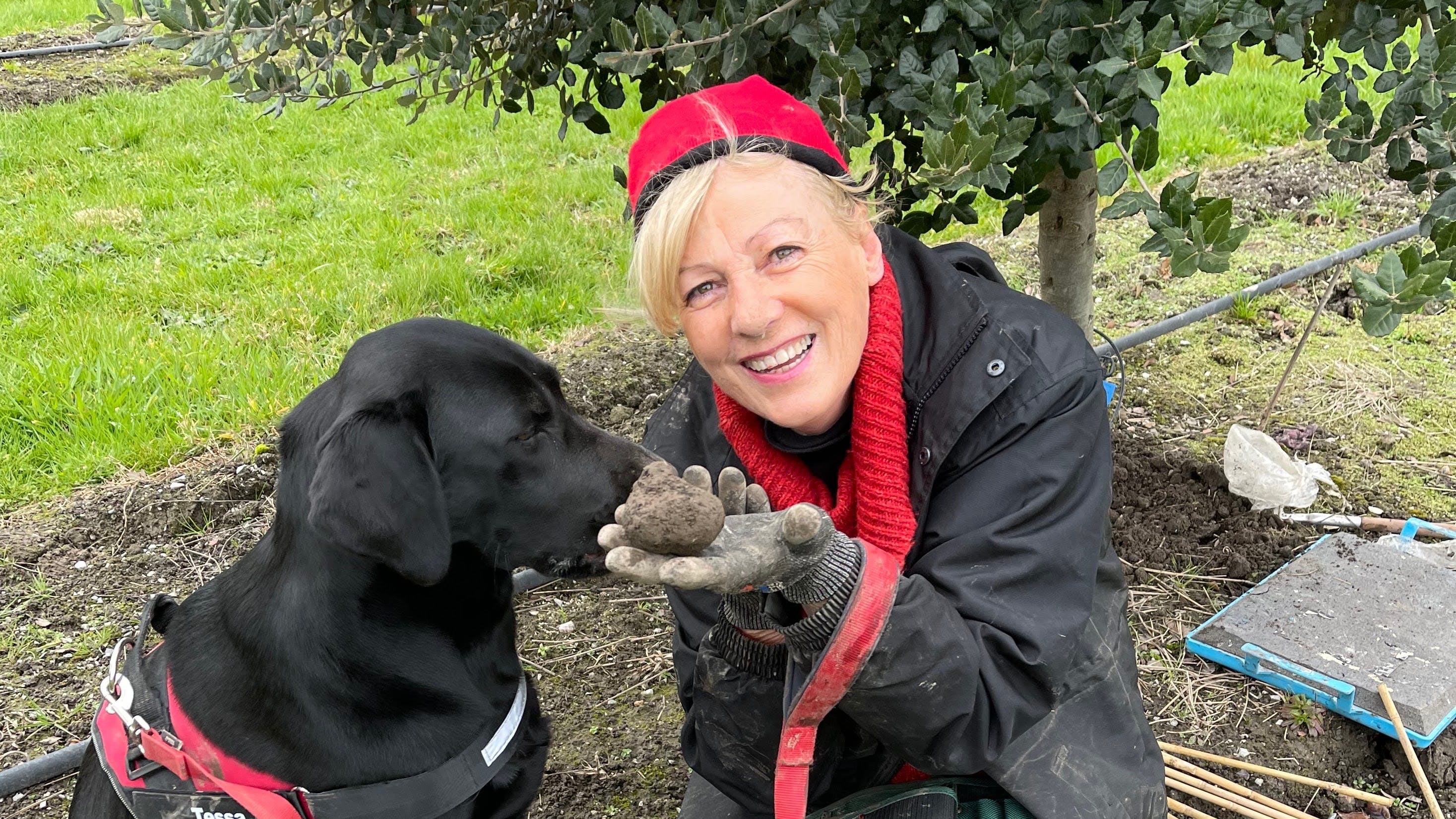 4101A933Bbc8A748Cb2B6A6622962638