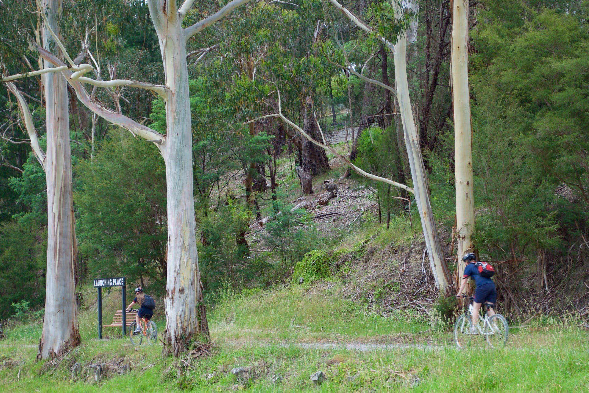 413381A301Affdf0Fe0Cf839Dfbb7E44