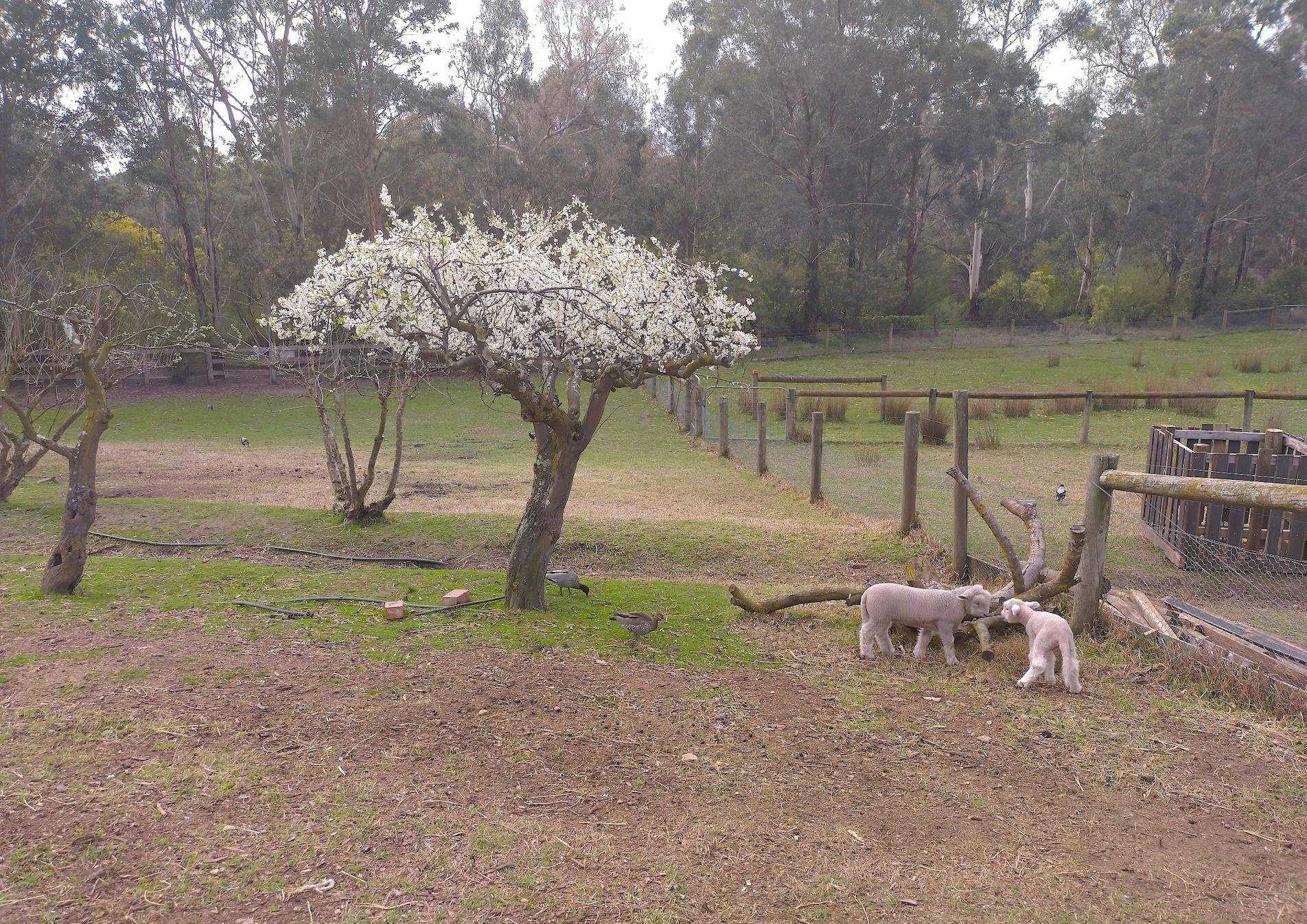 41Cf02E05Bbb571B84Eb82D2Ff73968D