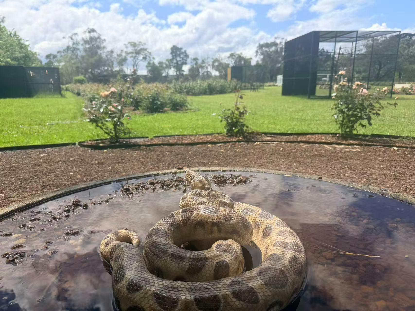 42Cdb442A4F90C1870Ba335D793140A0