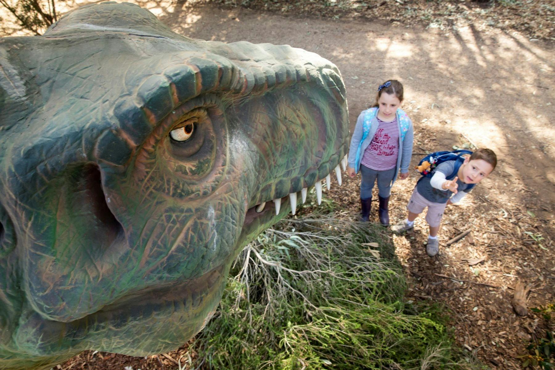 4573E64Ea1909Ad38D0C06De03735B82