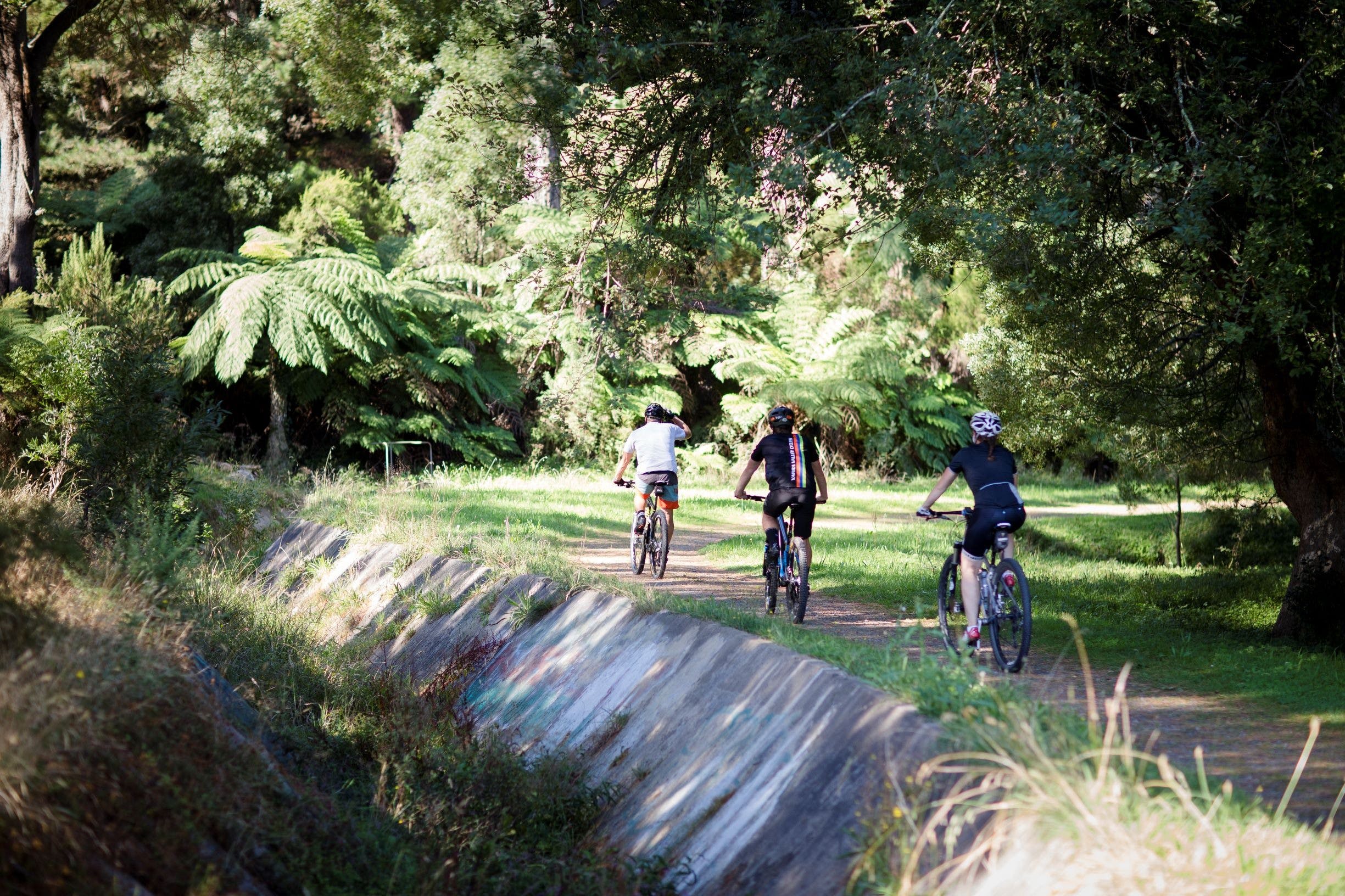 Walk & Cycle Visit Yarra Valley & Dandenong Ranges
