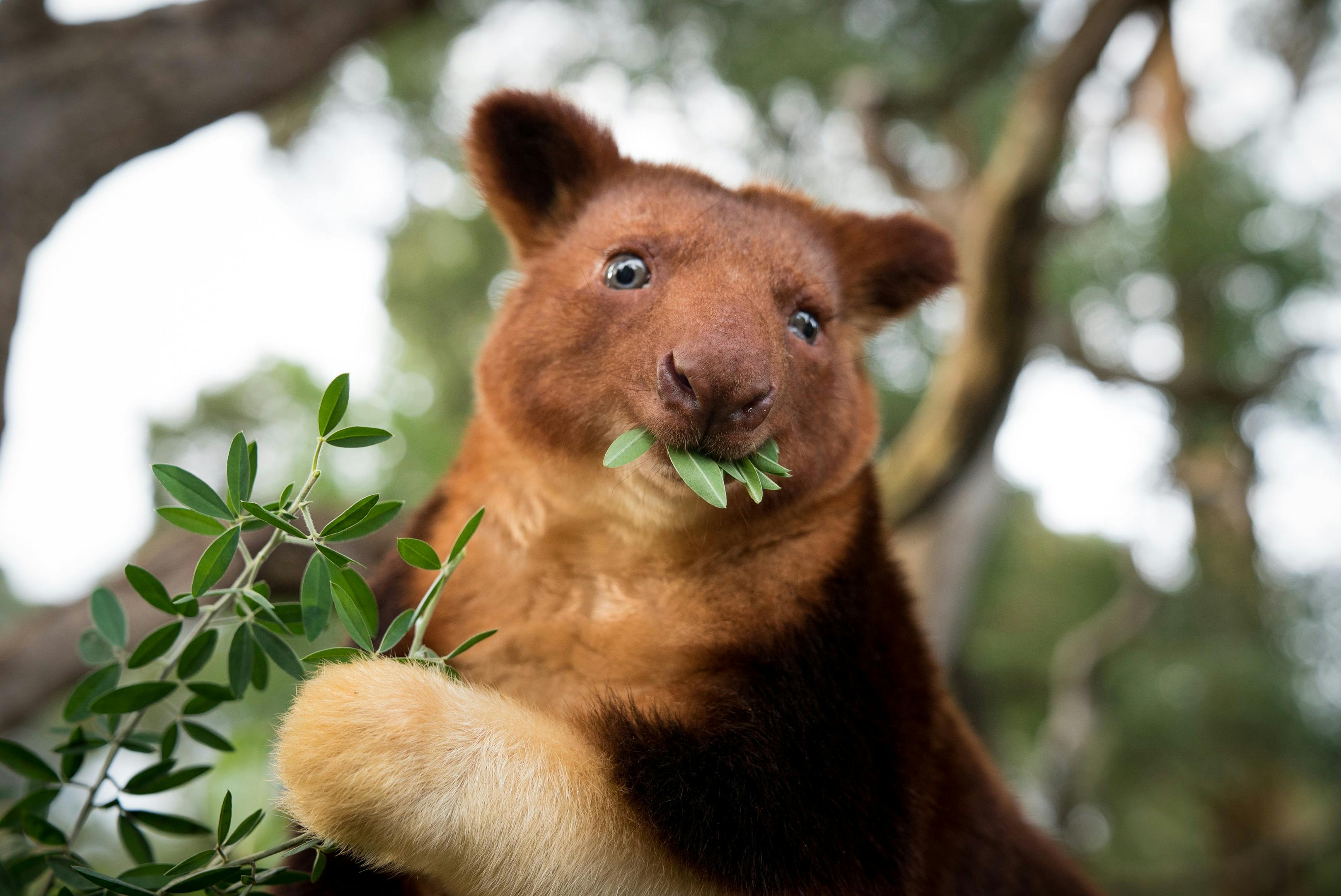 4B1Fcb73774E07D9E45B80Dfc287Cc3F