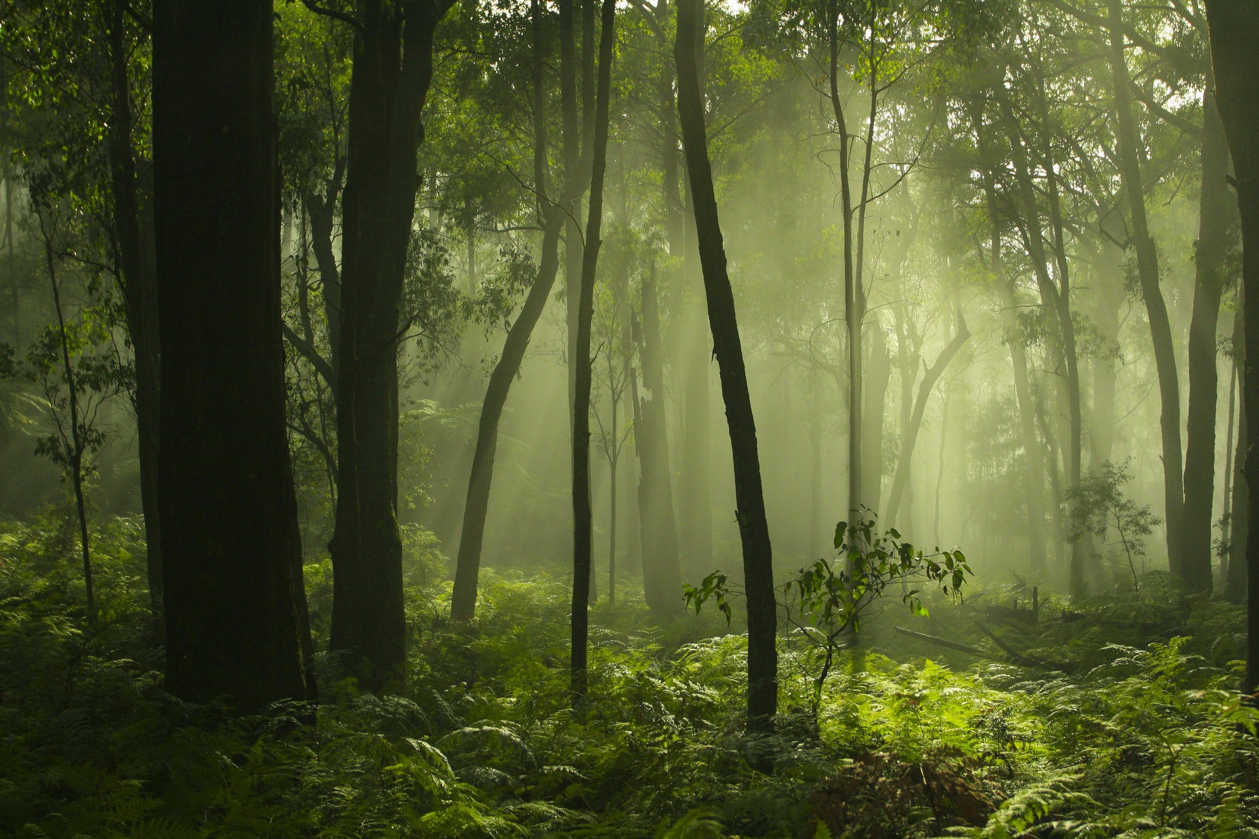 4B704D95579F613C559Cd5F6F787A7D5